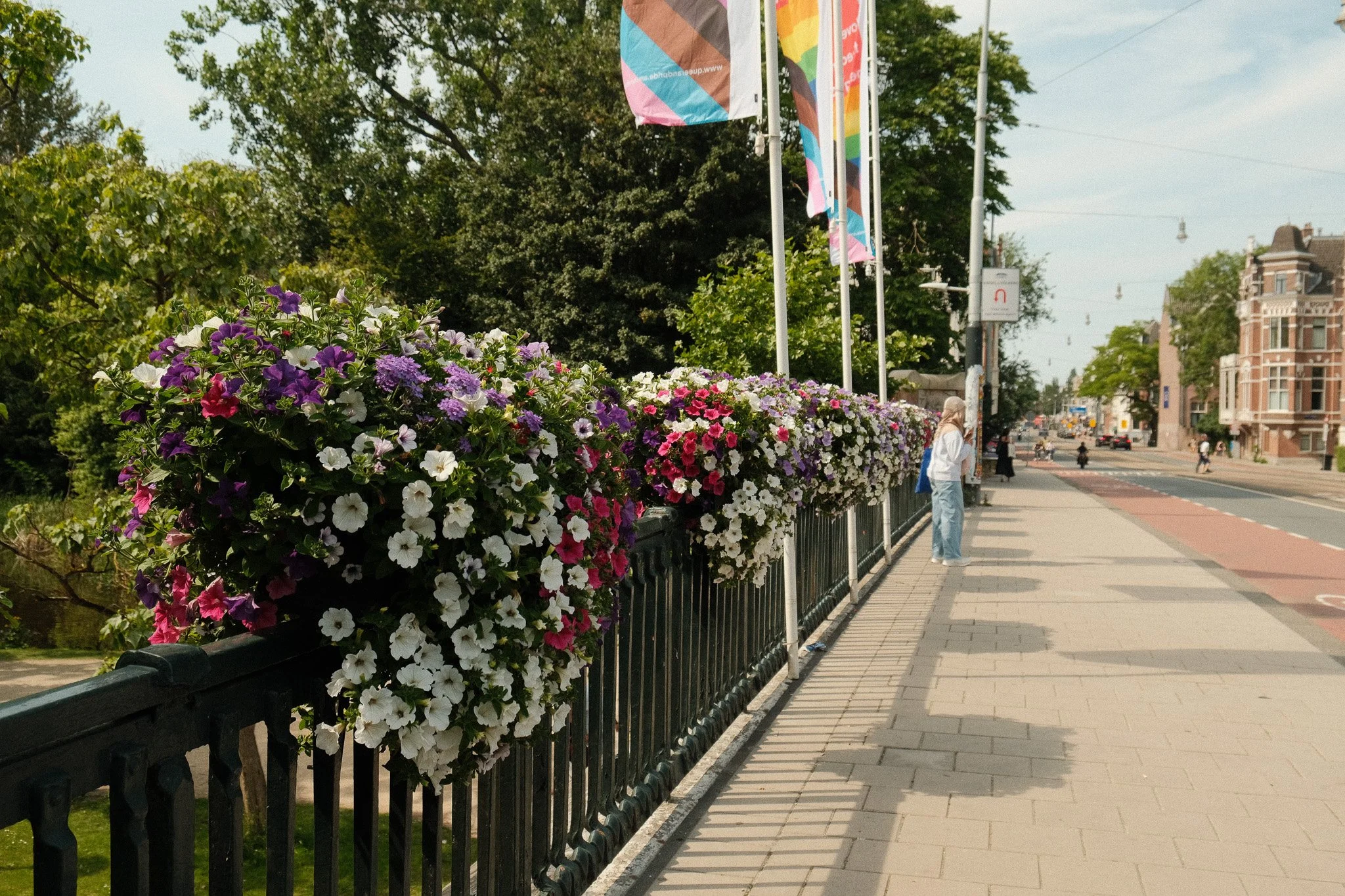 DSCF4572.jpg