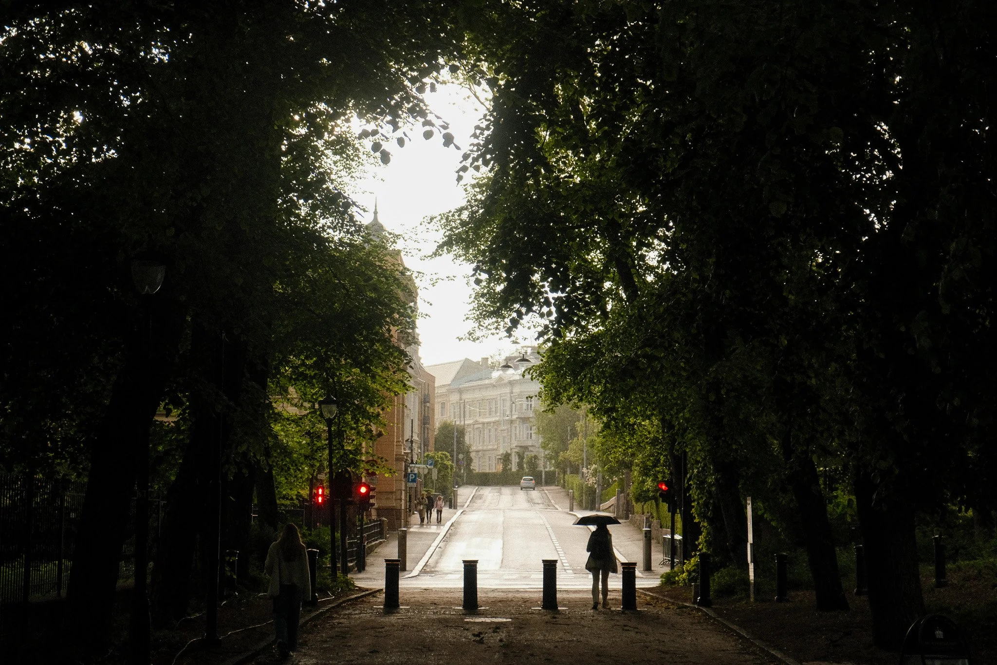 DSCF6964.jpg