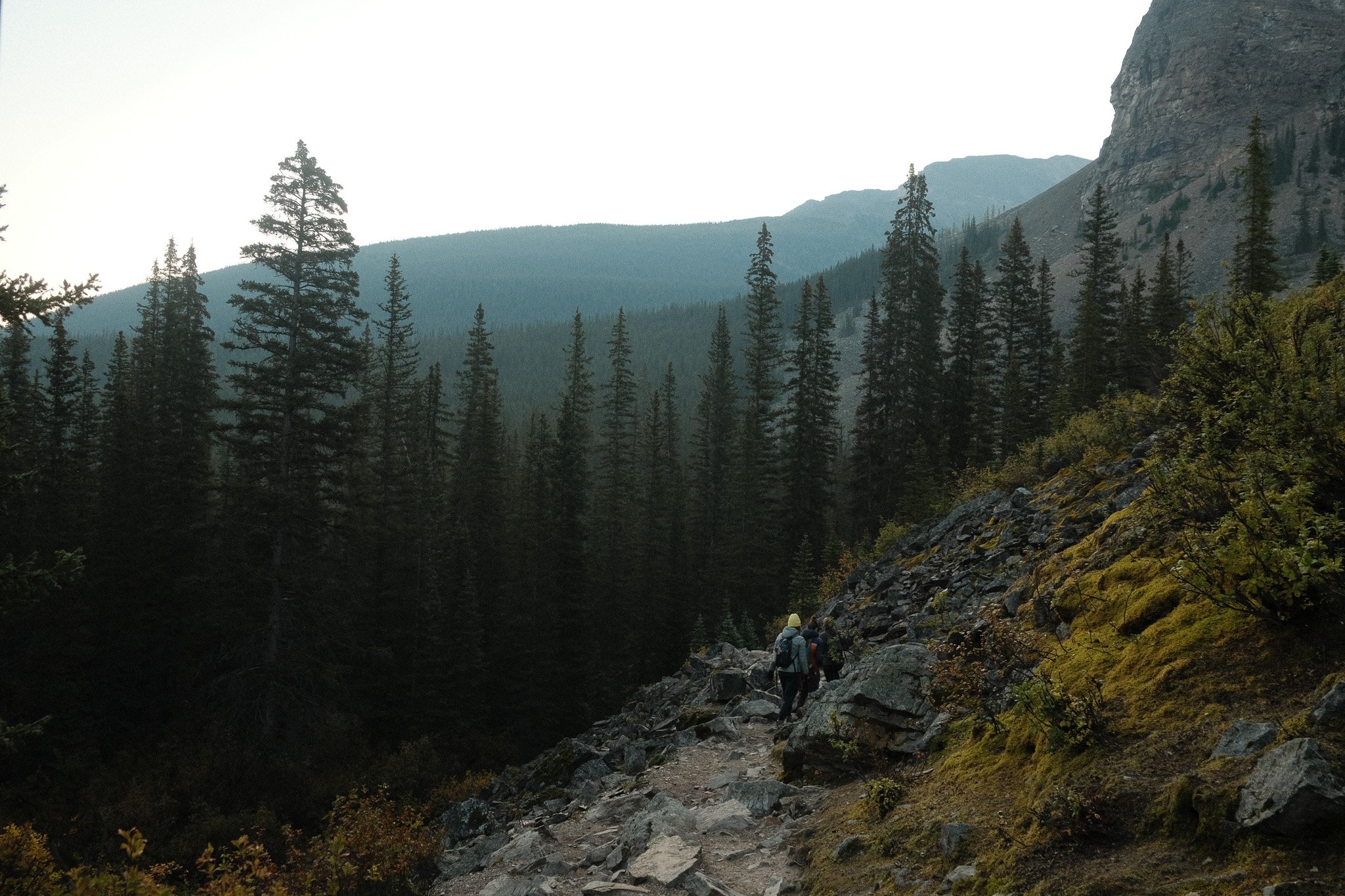 DSCF2274.jpg