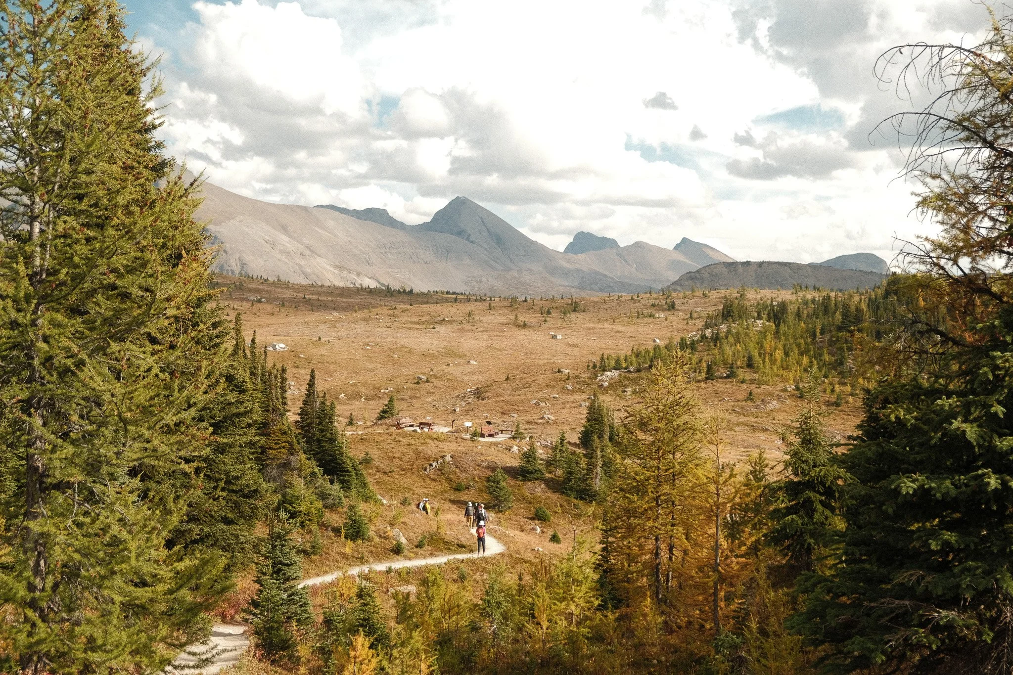 DSCF3504.jpg