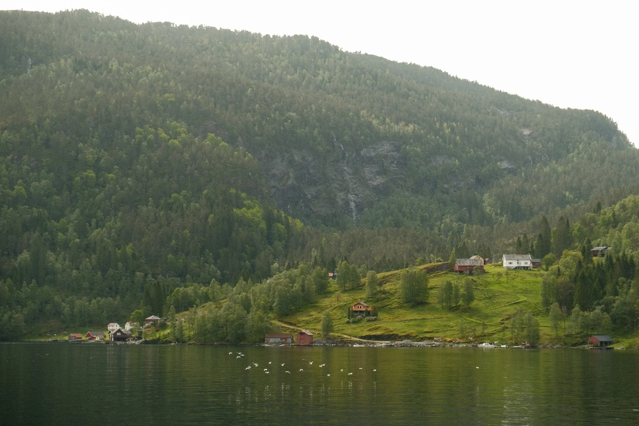 DSCF7493.jpg