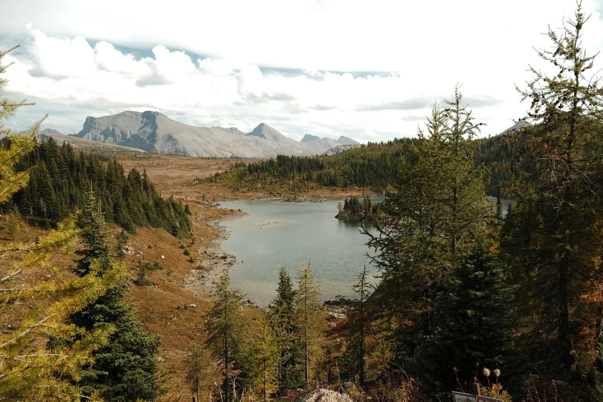 DSCF3417.jpg