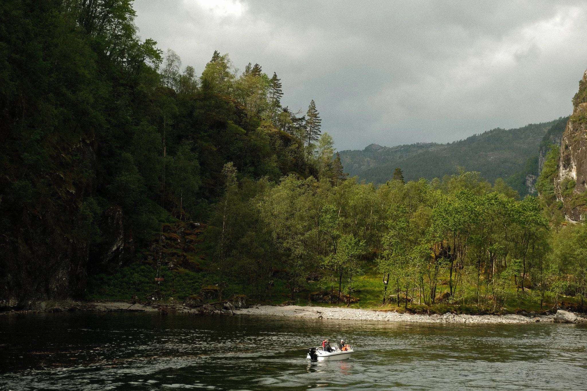 DSCF7514.jpg