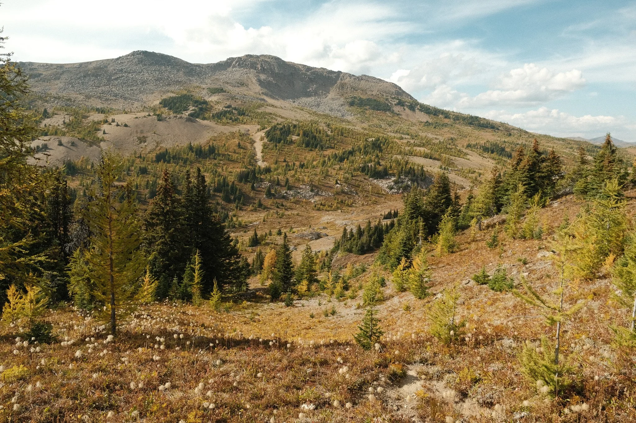 DSCF3364.jpg