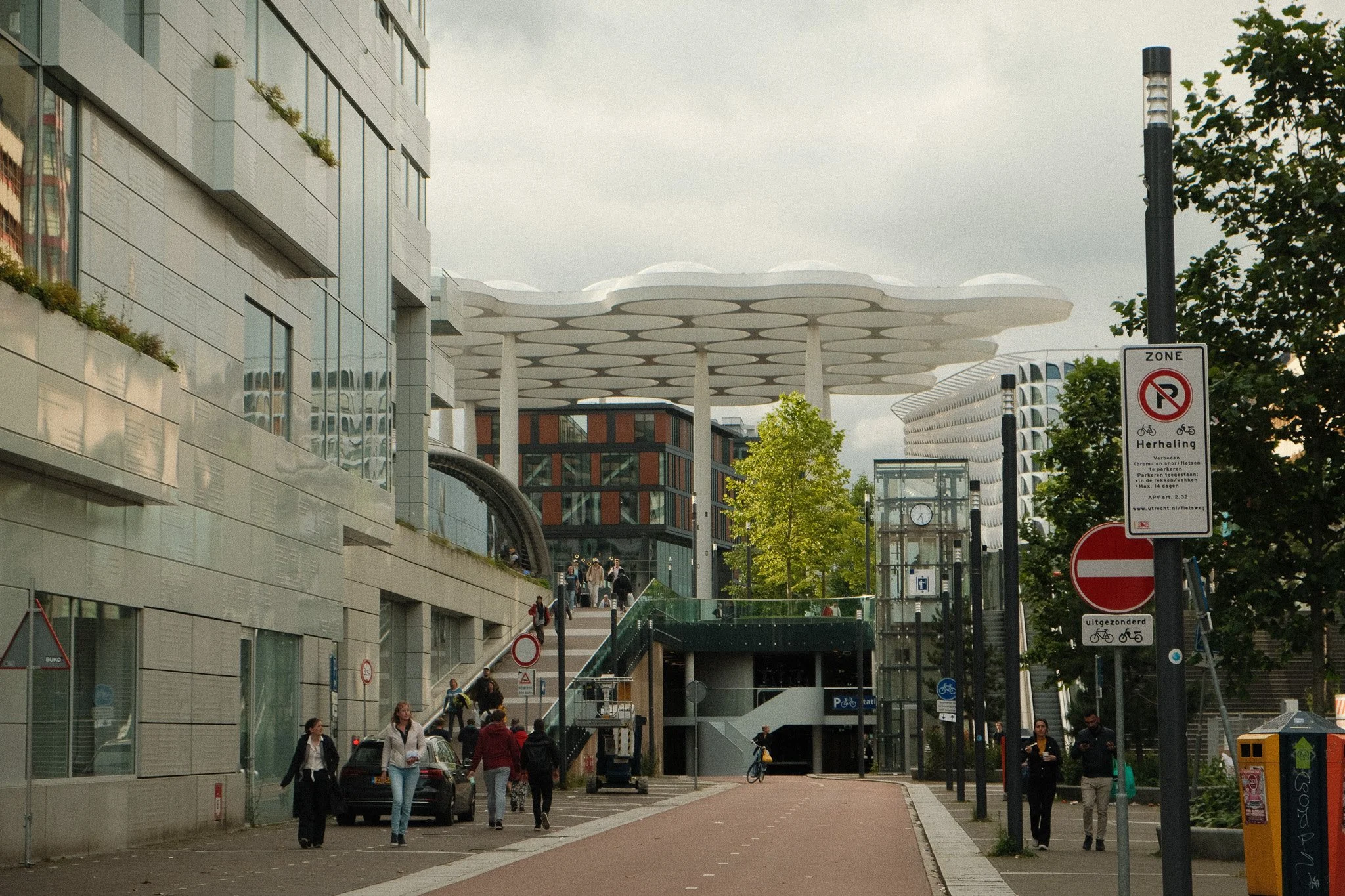 DSCF2817.jpg