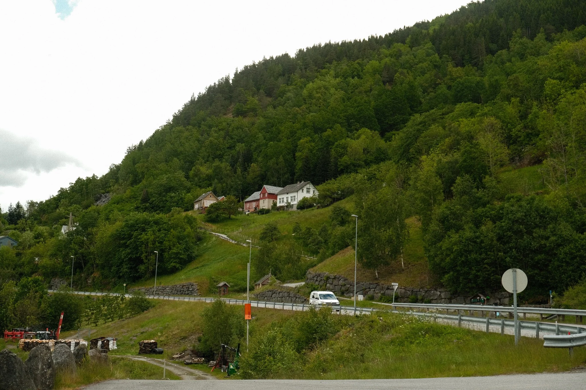 DSCF7134.jpg