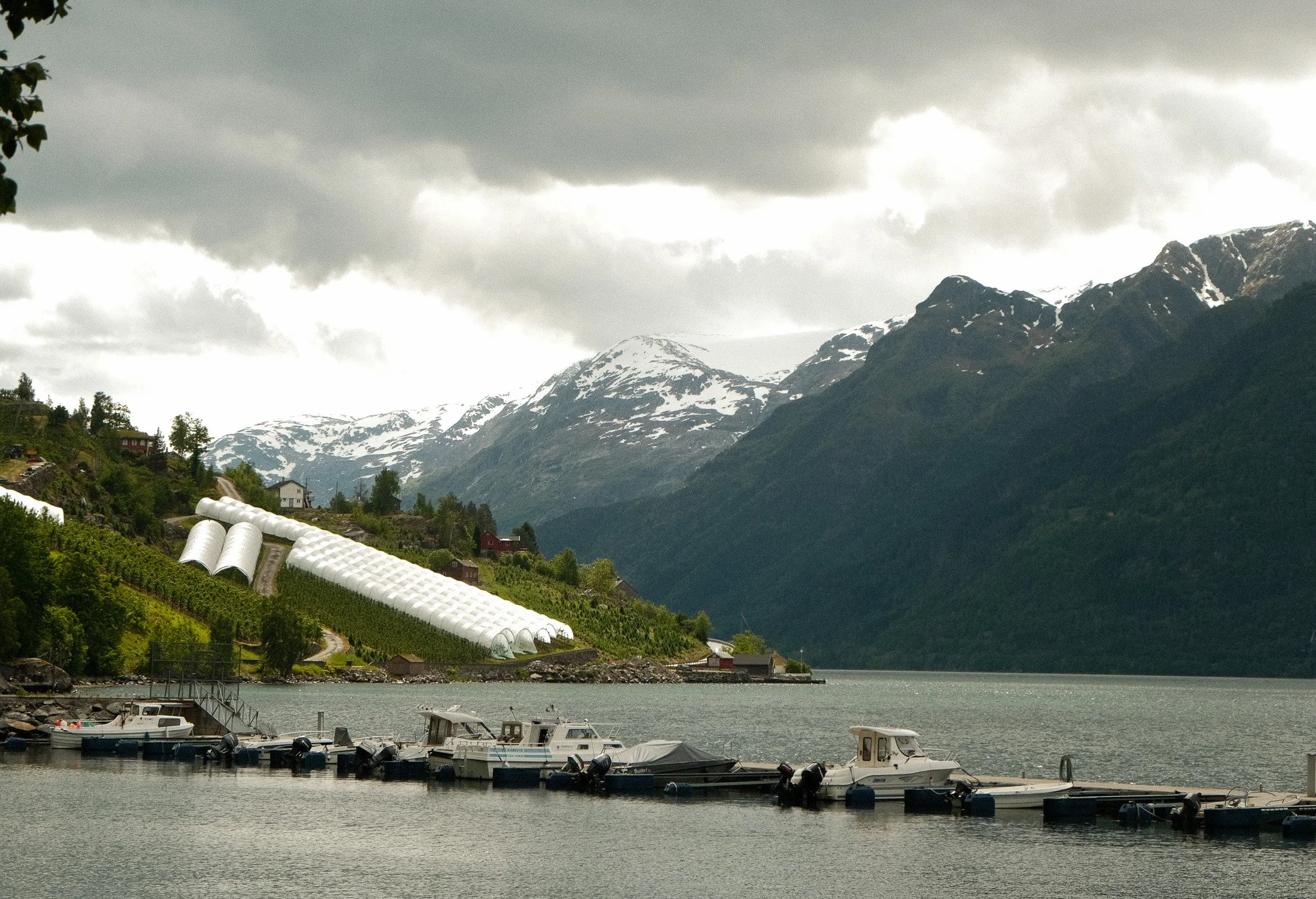 DSCF7178.jpg