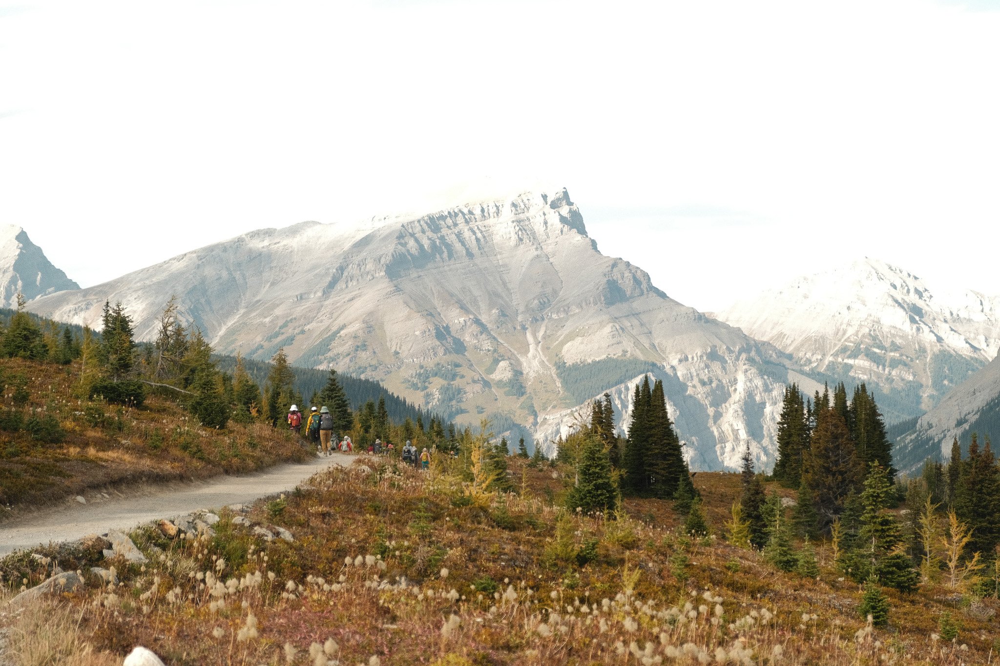DSCF3531.jpg