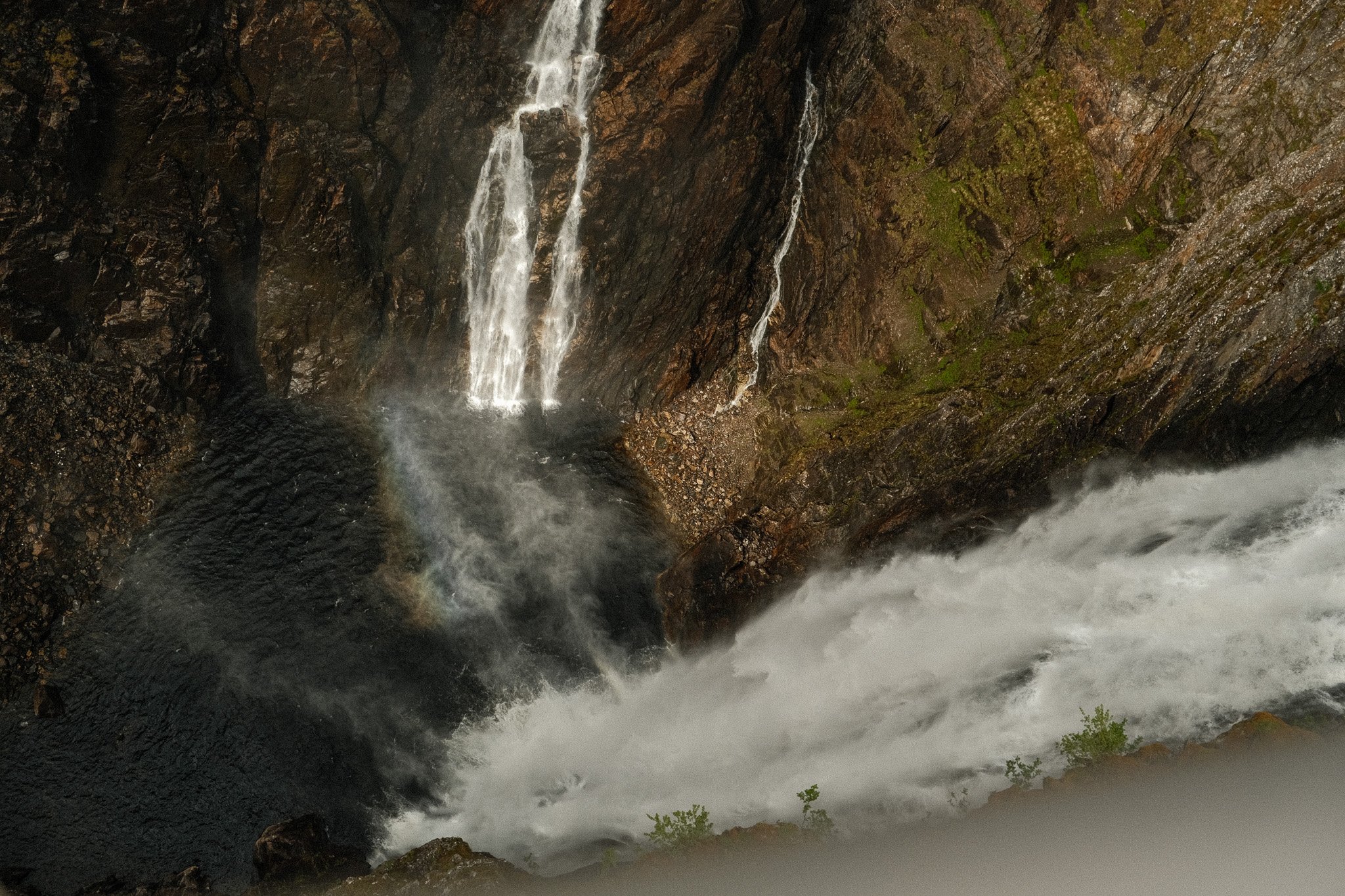 DSCF7316.jpg