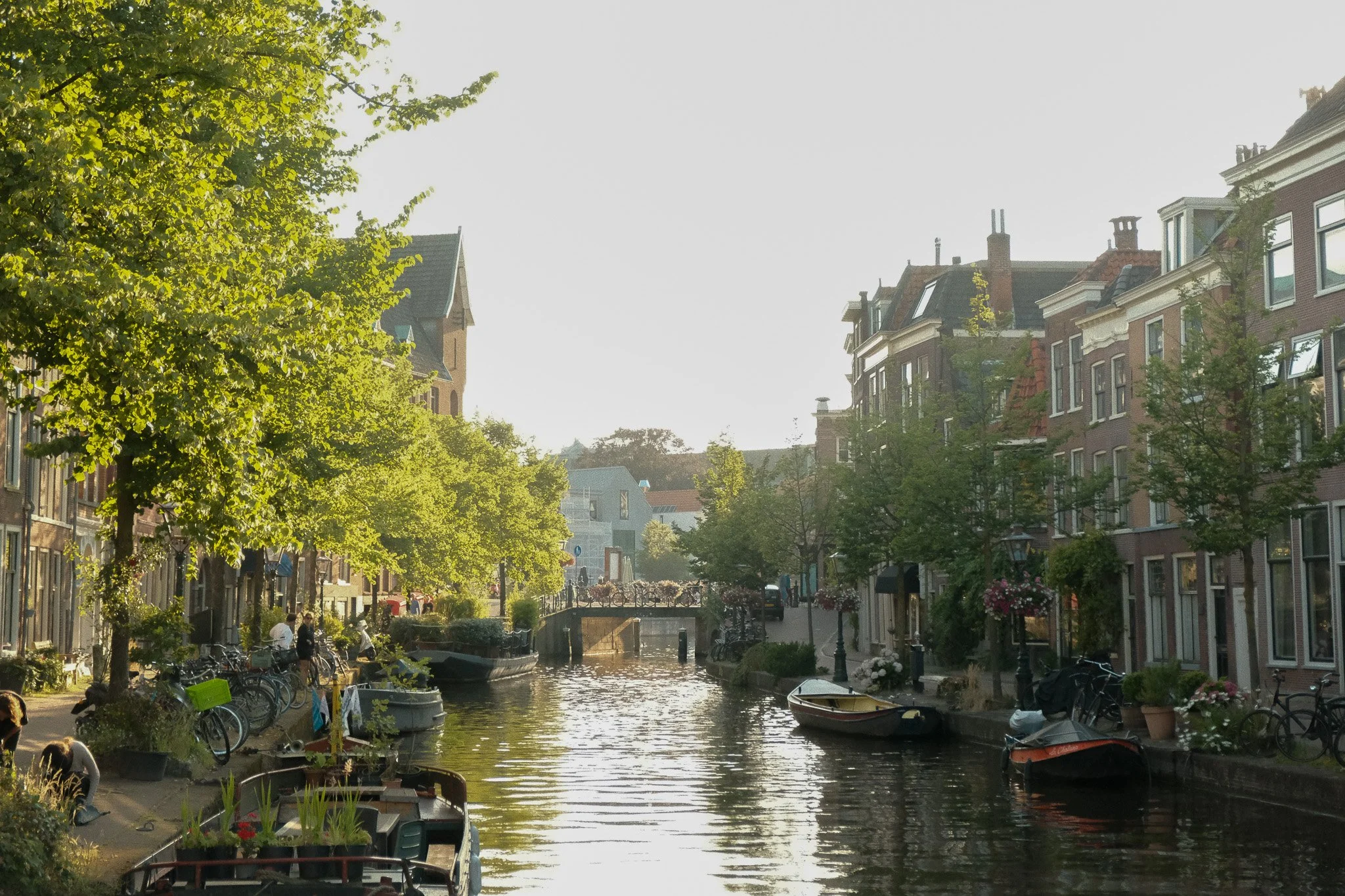 DSCF4070.jpg