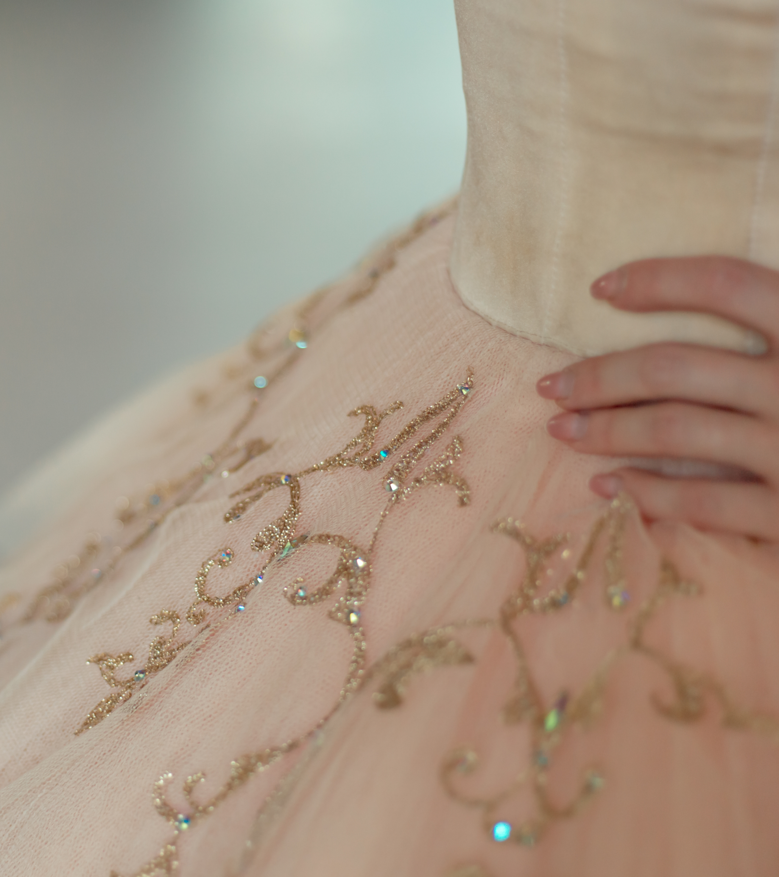 ballet skirt (1).png