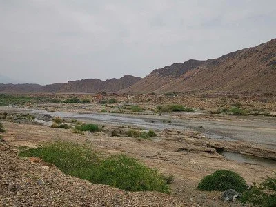 Rain Experience in Oman 2026