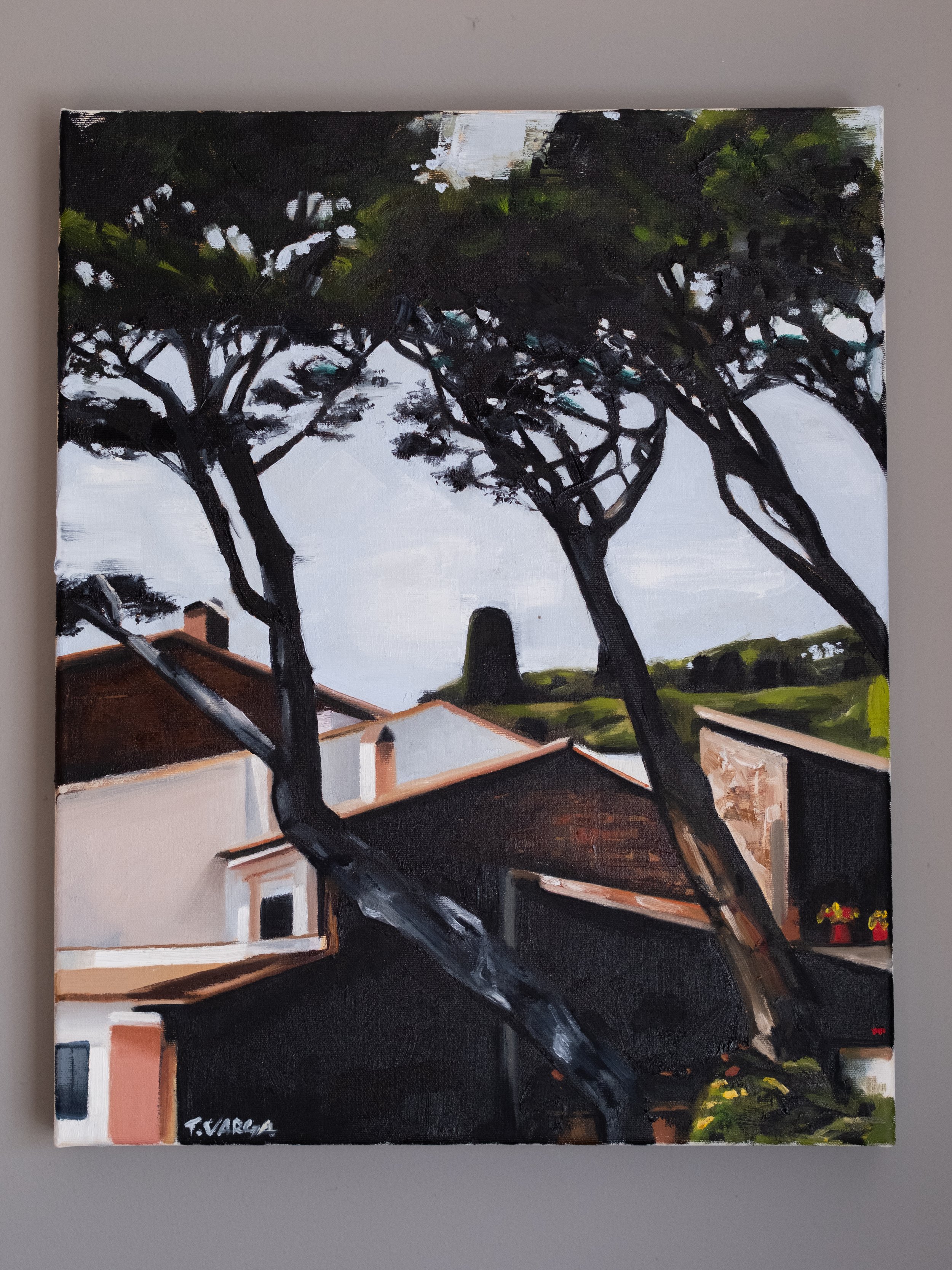 Palafrugell Trees