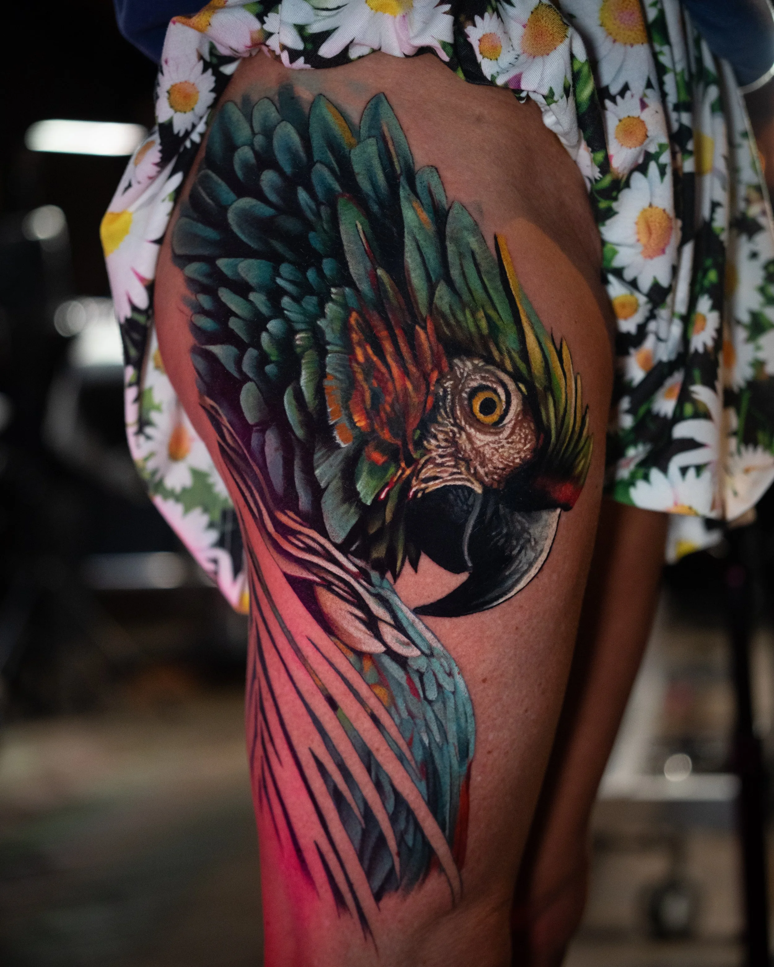 Colorful tattoo of a parrot on a person's thigh, with a floral shirt visible.