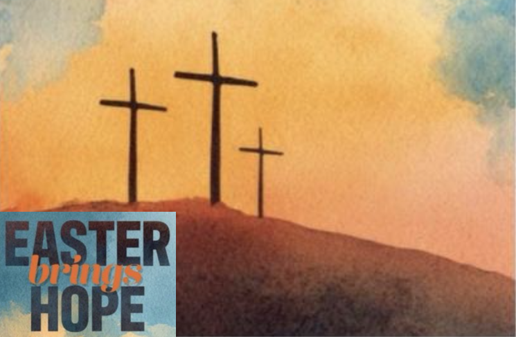 Newsletter - March 2026