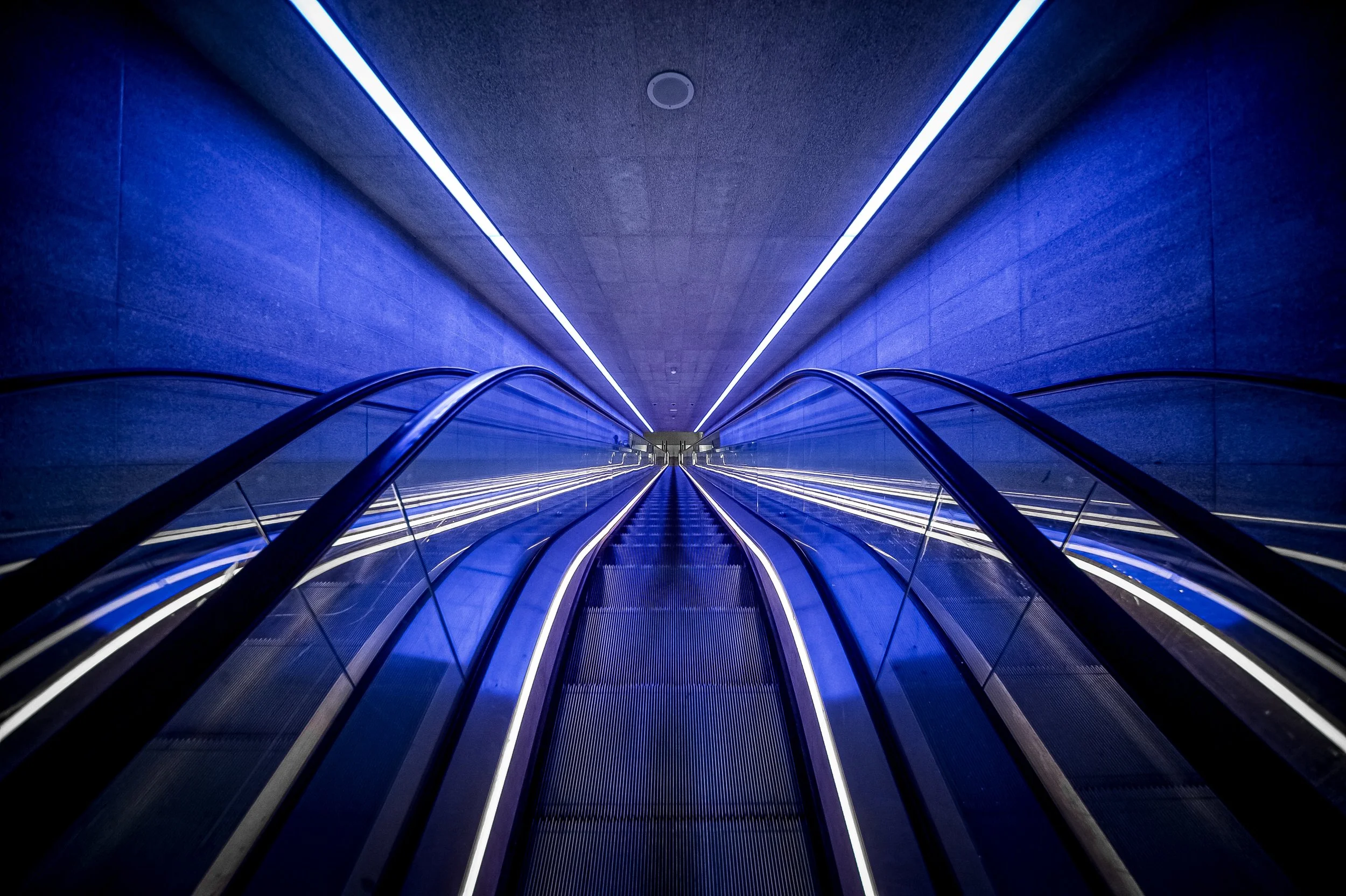 RNM_0135.jpg