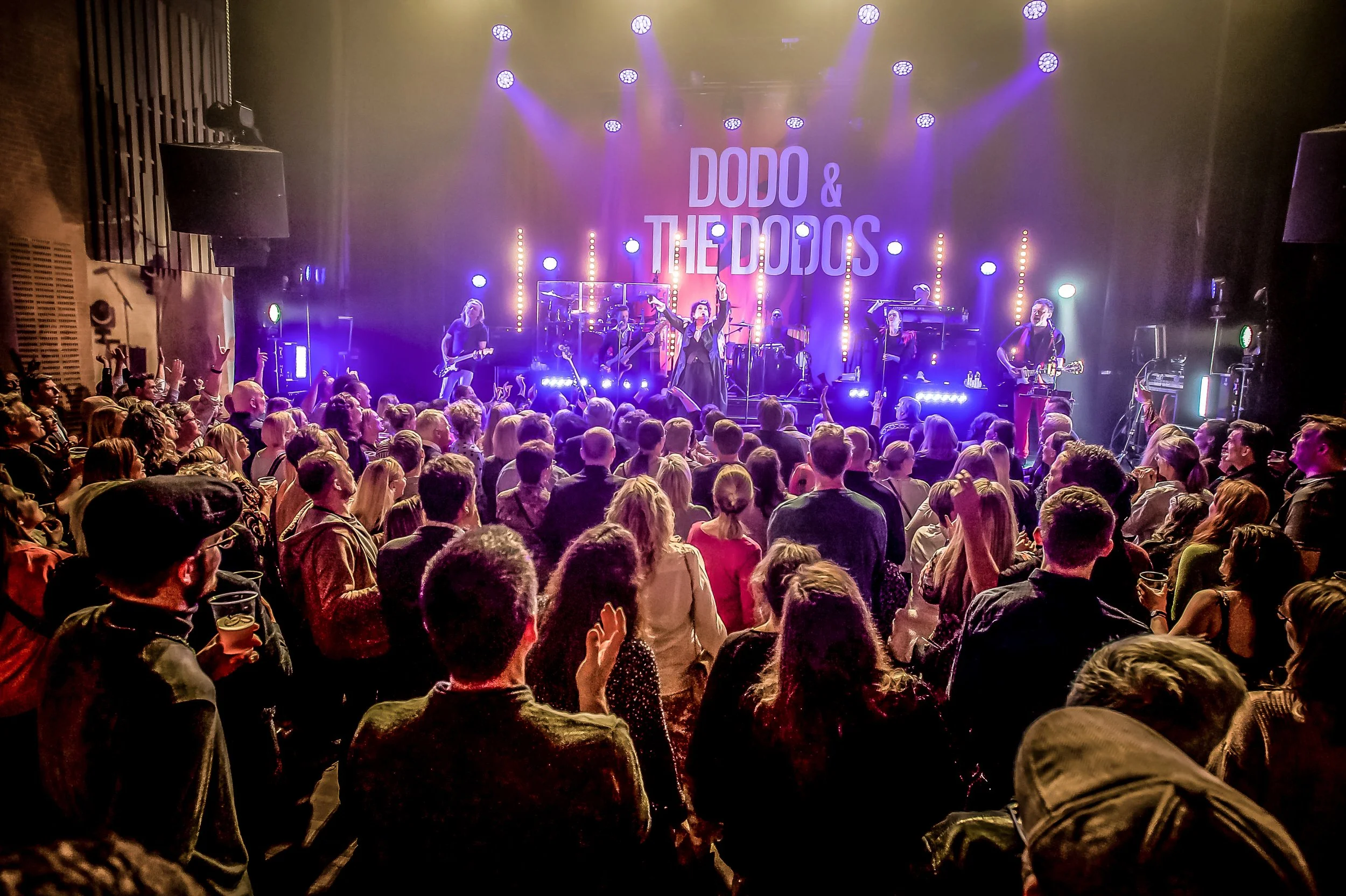 Dodos and the dodos - MantziusLive