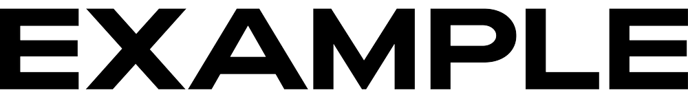 Example Agency
