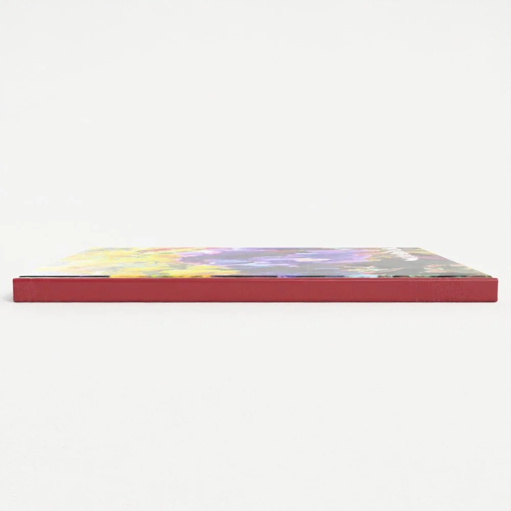 Colour Collision side.jpg