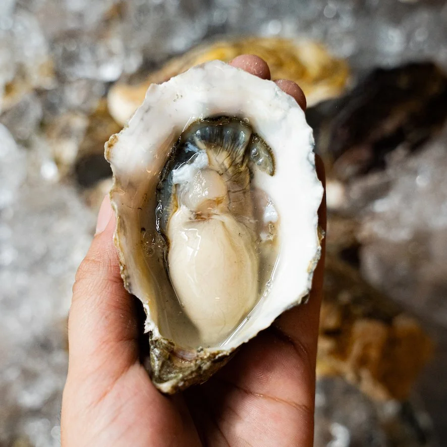 Bar Marea-Oyster.jpg