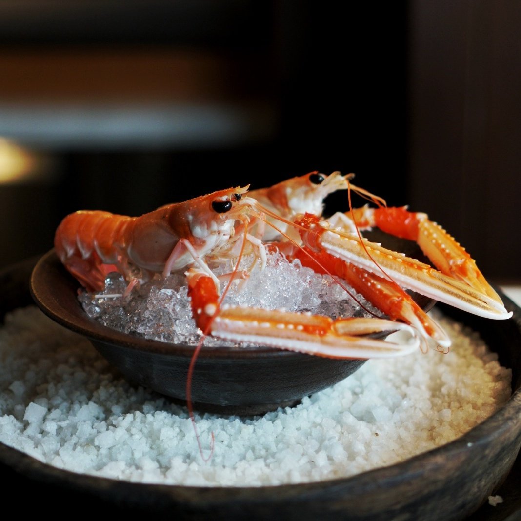 Langoustine Bar Marea.jpeg