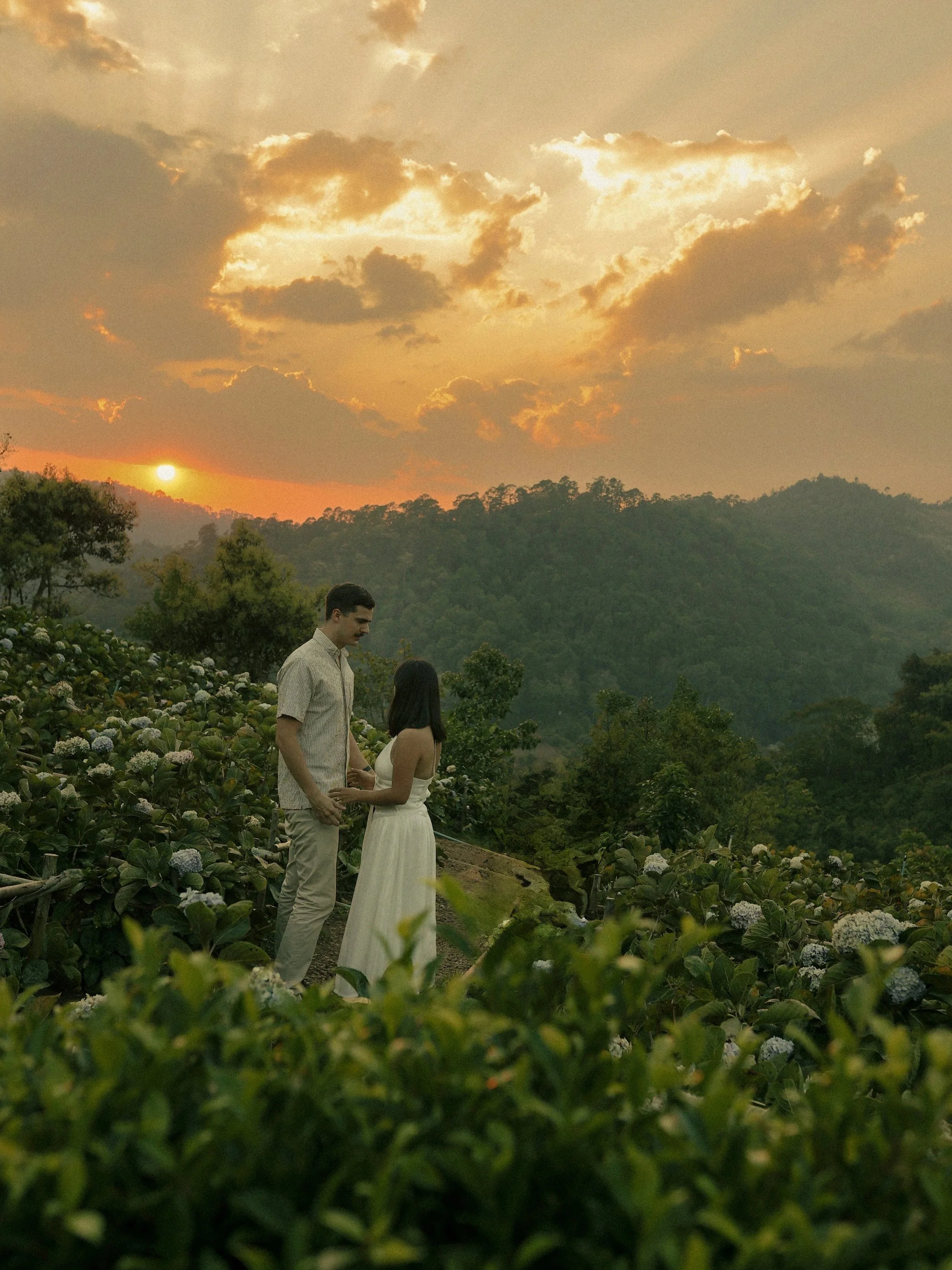 A couple standing in a lush green garden with blooming flowers during sunset, holding hands and gazing at each other
