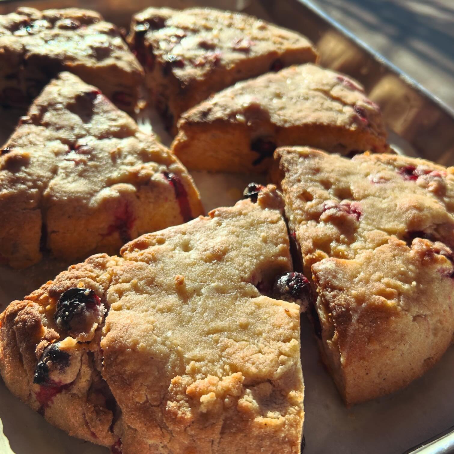 SUNDAY! Enter the Scone Zone! Cranberry Scones, fresh from the oven, and baked with @mainegrains flour and Maine-grown cranberries!
***
Breakfast 7-10:45 Lunch 11:30-3 ⏰ Dine-in or order takeout ☎️ 207-778-0288 🥡www.rootdownmarket.com