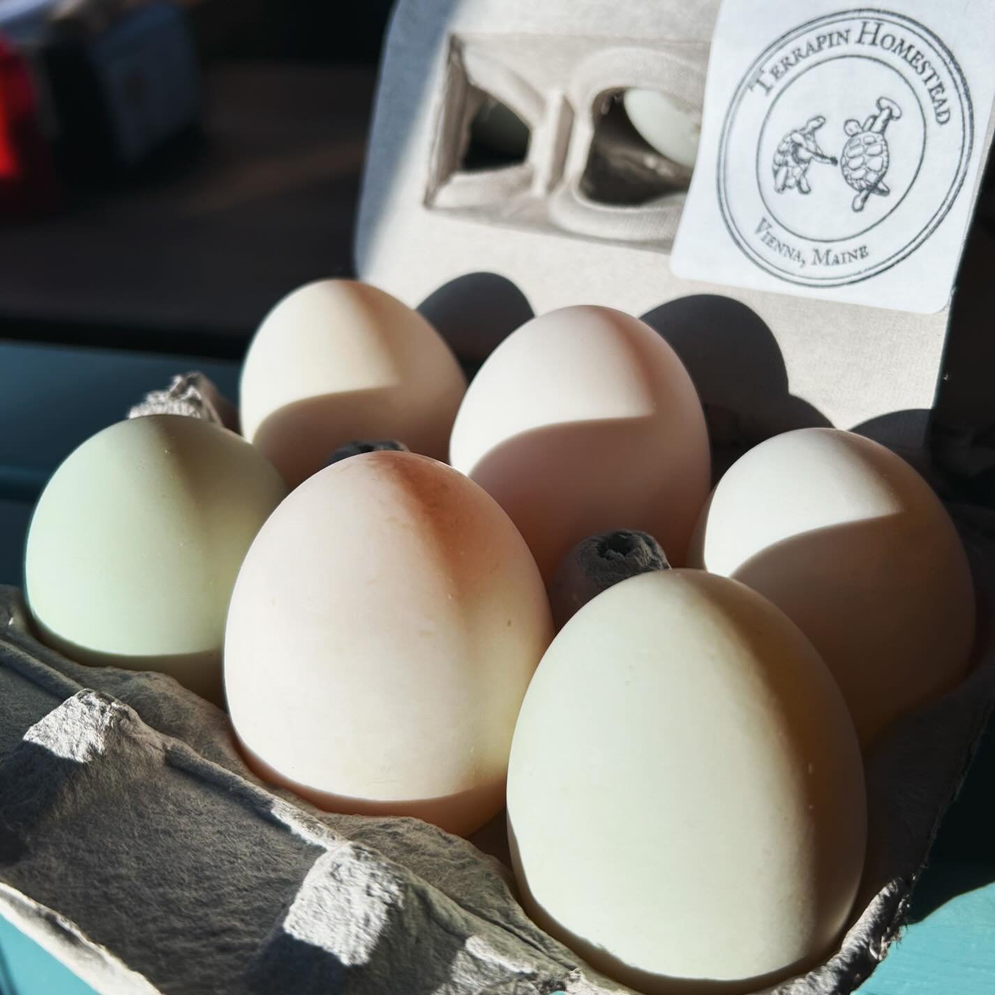 THURSDAY! Want to know what&rsquo;s quackening&rsquo; round here? We&rsquo;ve got fresh, local duck eggs from our friends at Terrapin Homestead in Vienna!
🦆🦆🦆