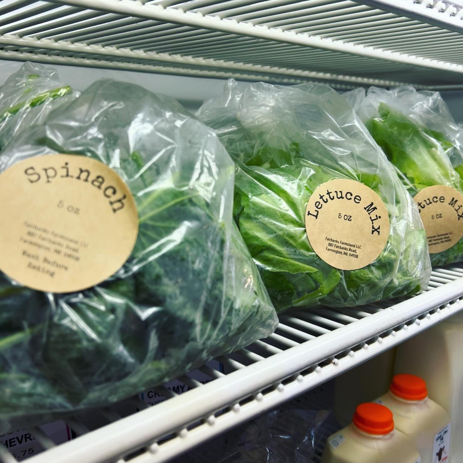 THURSDAY! Fresh Greens Alert 🚨🚨🚨 spinach, lettuce and tatsoi from @fairbanks_farmstand 🥬🥬🥬