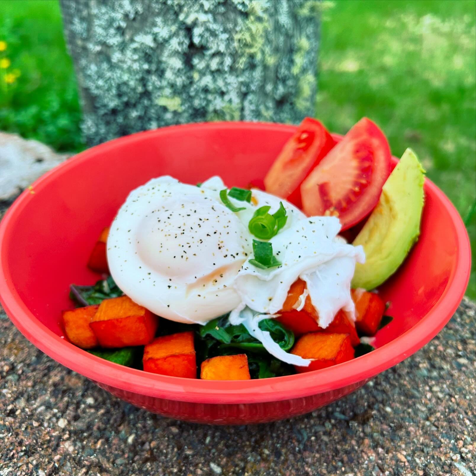 SATURDAY! We&rsquo;ve been waiting all winter for this&hellip; Our Farmer&rsquo;s Breakfast Bowl is now served w/ fresh, local greens from @rusticrootsfarm 🥬🥬🥬 Two poached, Franklin County-raised eggs, sweet potato home fries, @pinelandfarms sharp