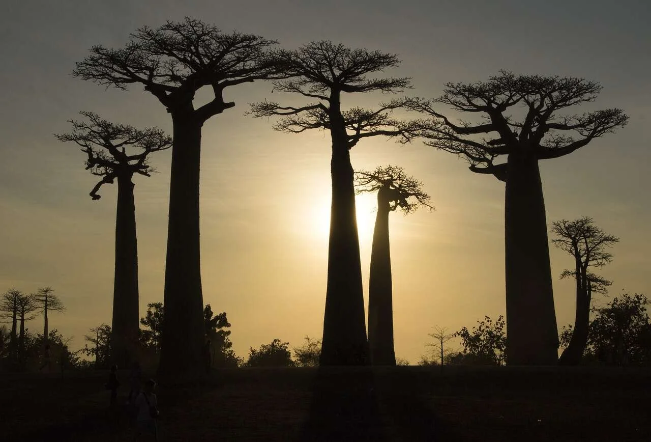 10 Best Places to Visit in Madagascar