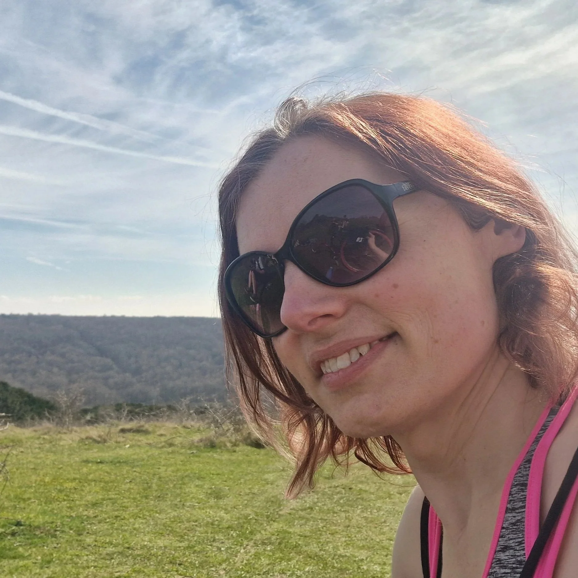 Rolling up that hill #2: Butser Hill