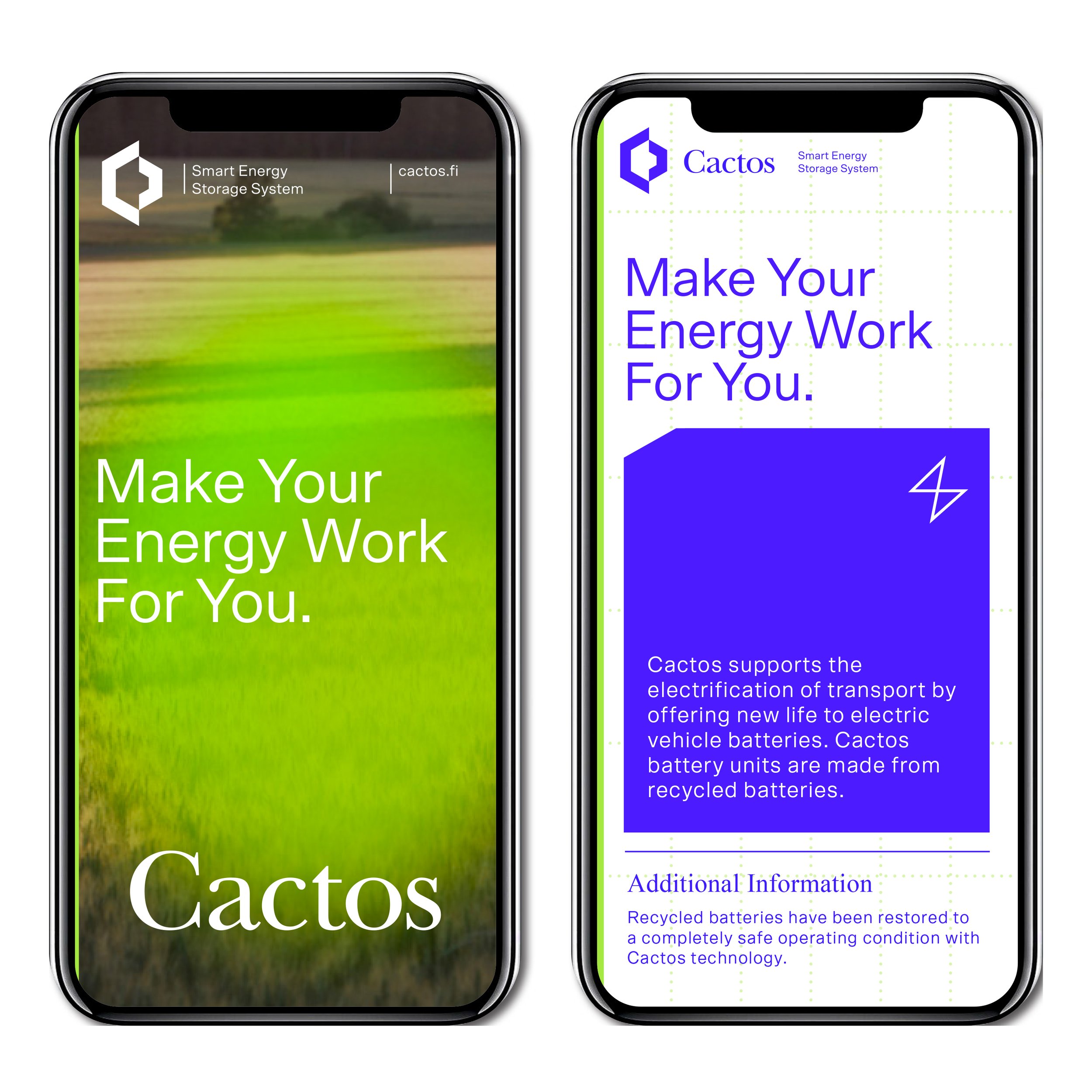 cactos_test.jpg