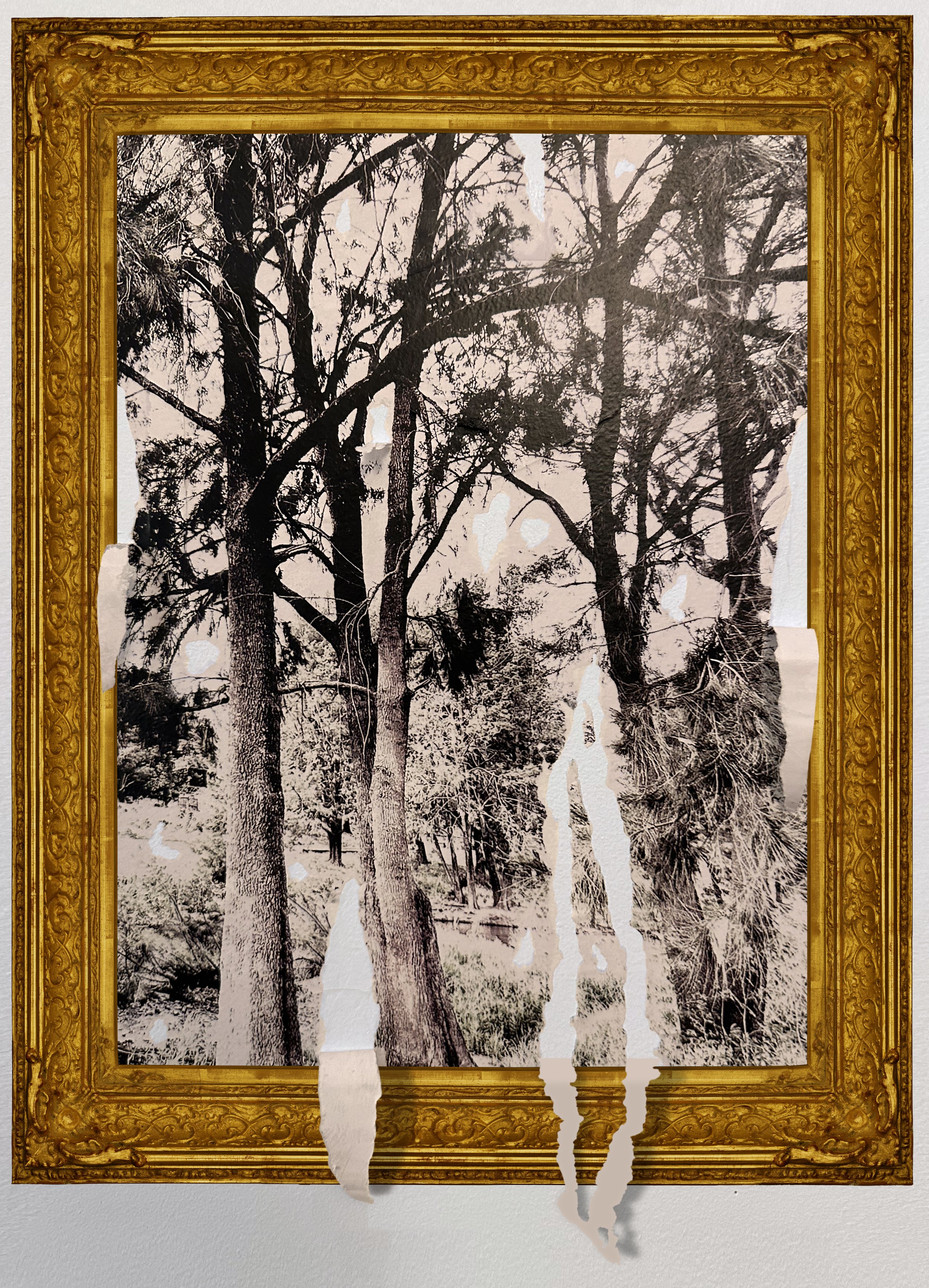 Wambuul 1 Study with Frame.jpg