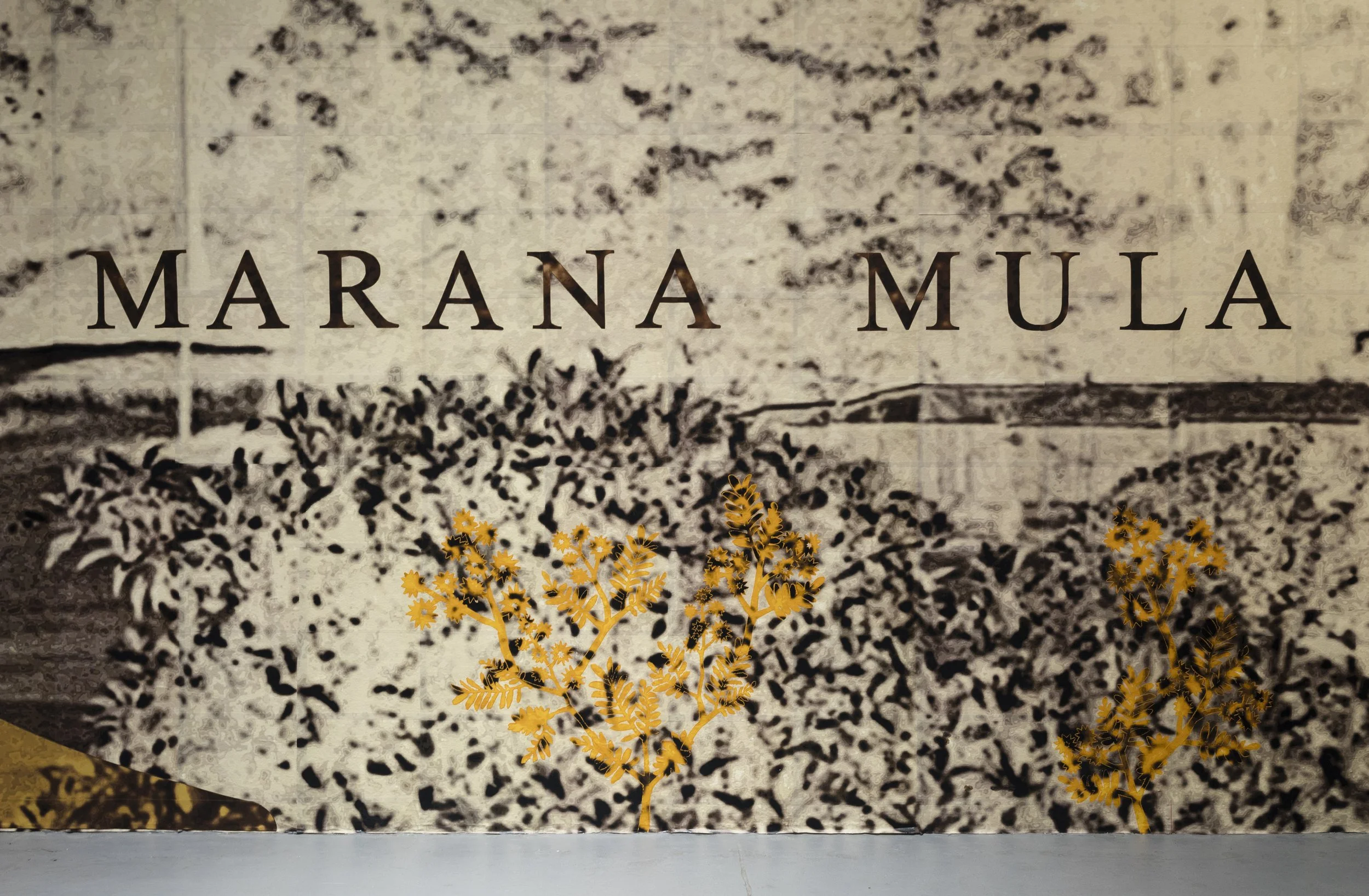 The Pavilion of Clear Memory (detail) MARANA MULA (First Person/Man) cut out overly by and overlay Sunshine Wattle cut outs by the Bondi and Tamarama Costal Bush Regeneration Collective