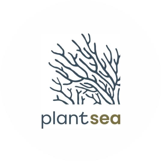 An illustration of sea coral above the text 'plantsea' in lowercase letters.