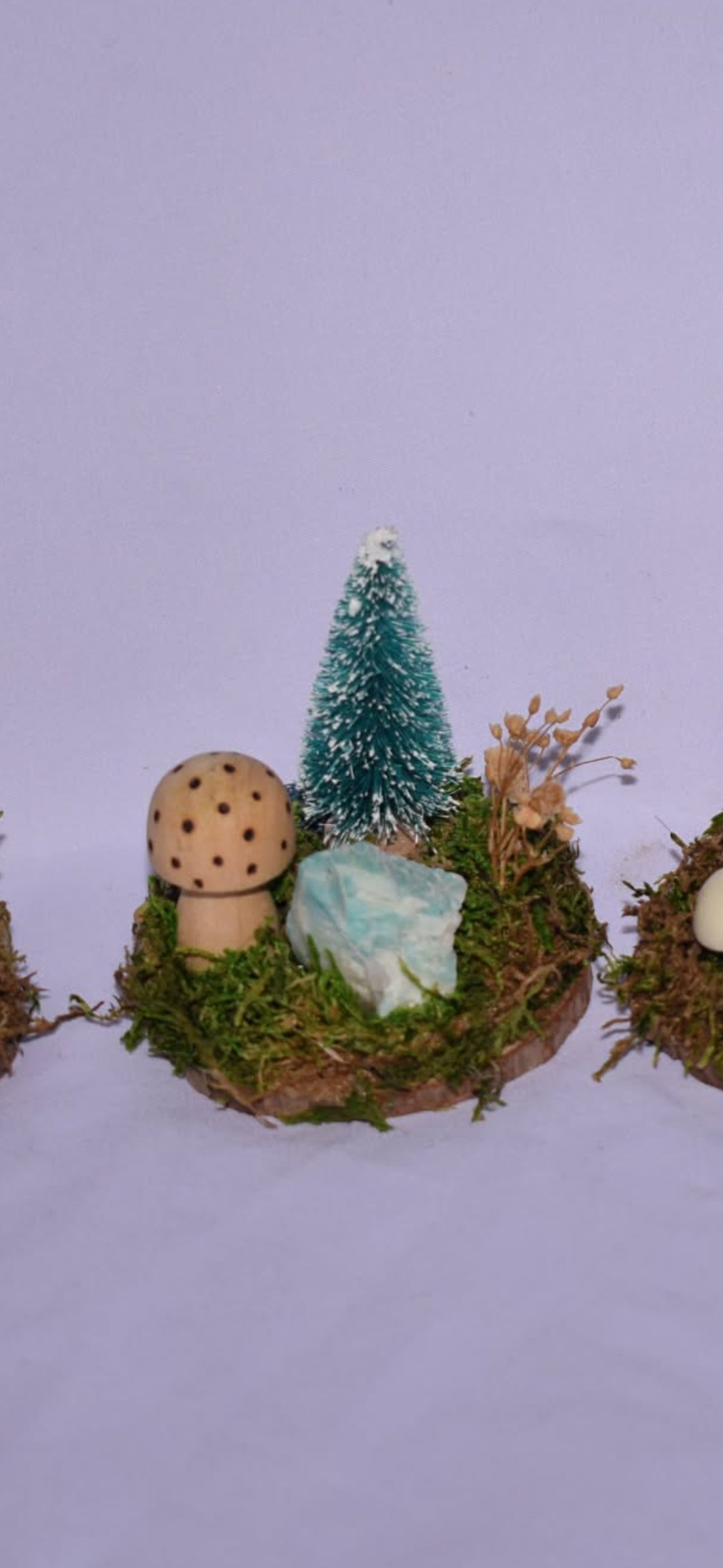Wood Slice Fairy Garden