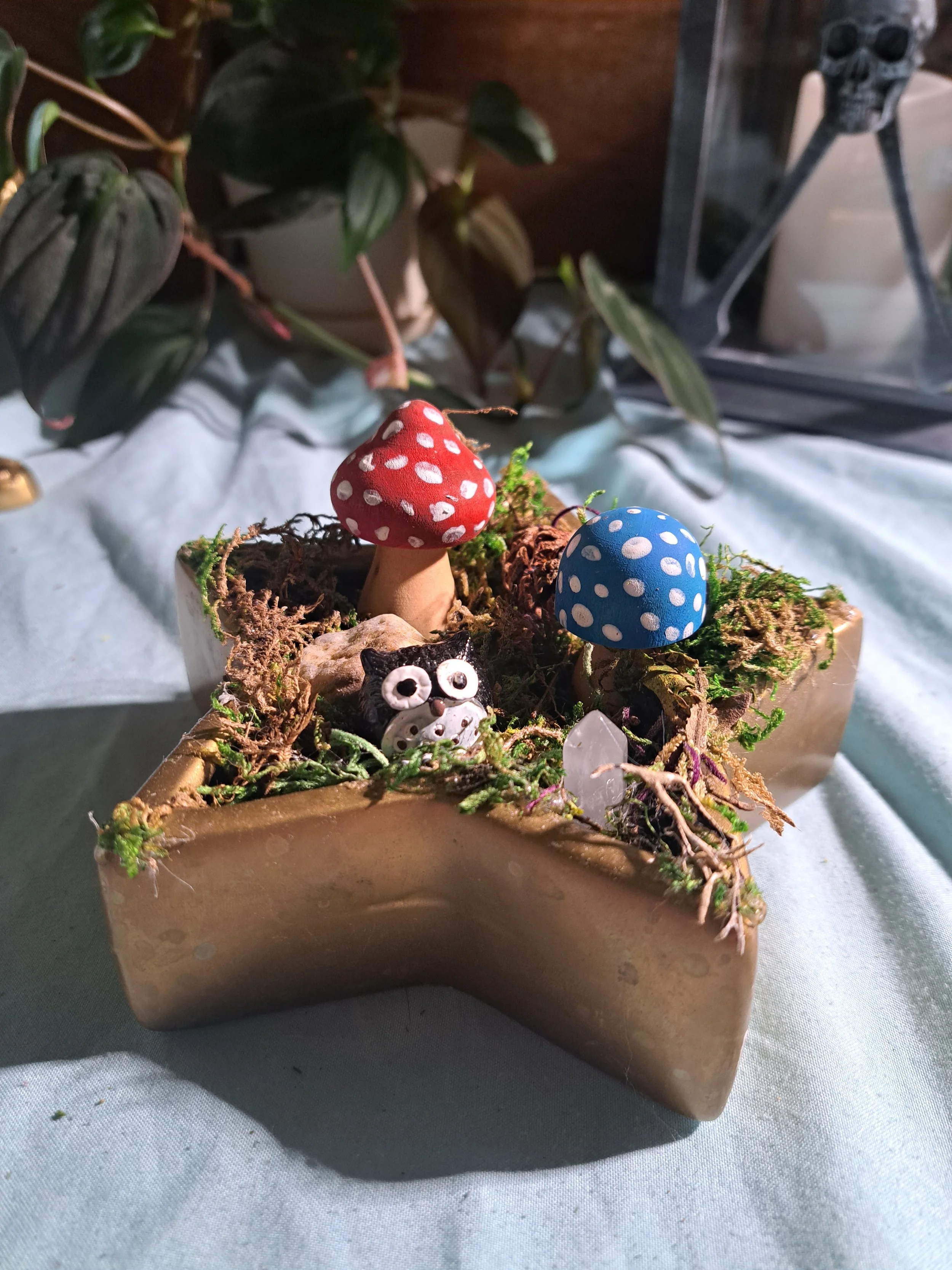 Fairy Garden