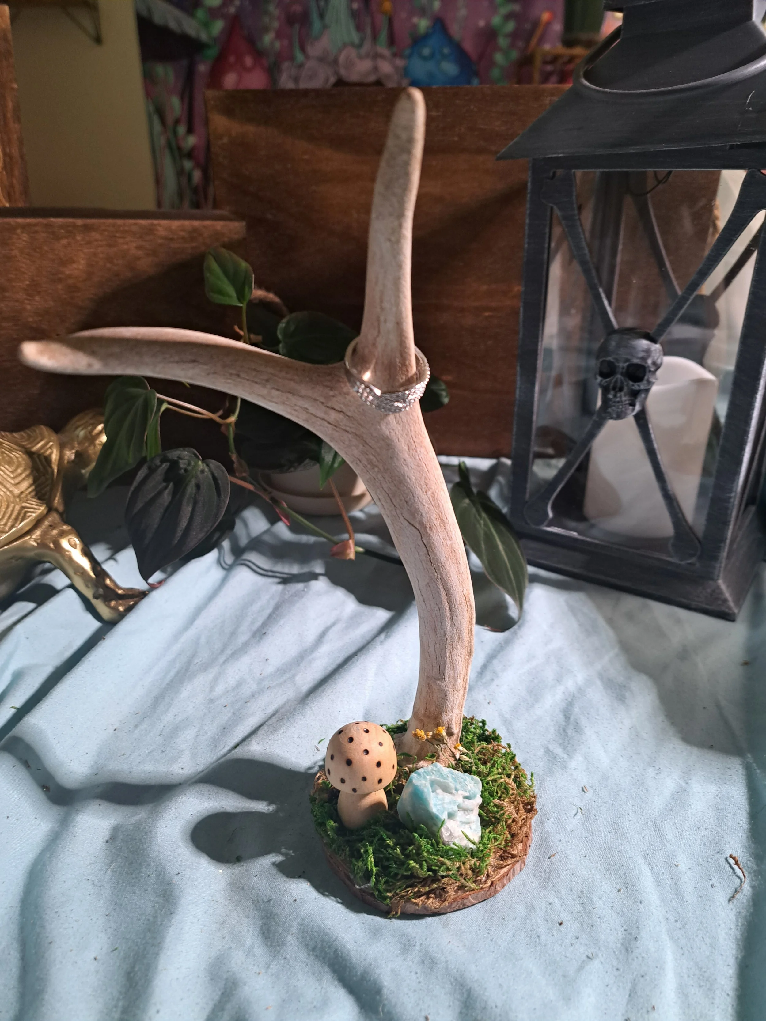 Antler Jewelry Stand