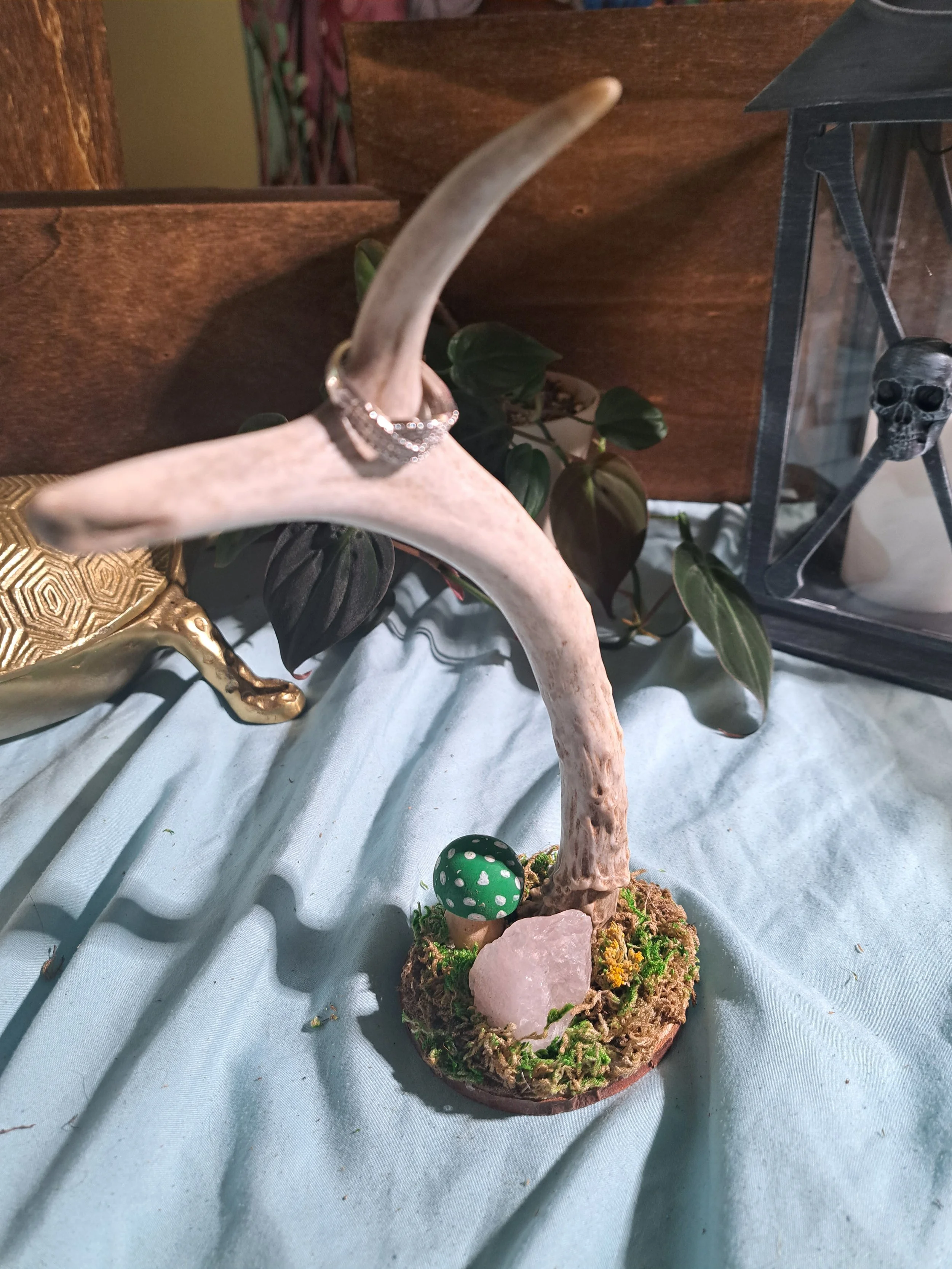 Antler Jewelry Stand