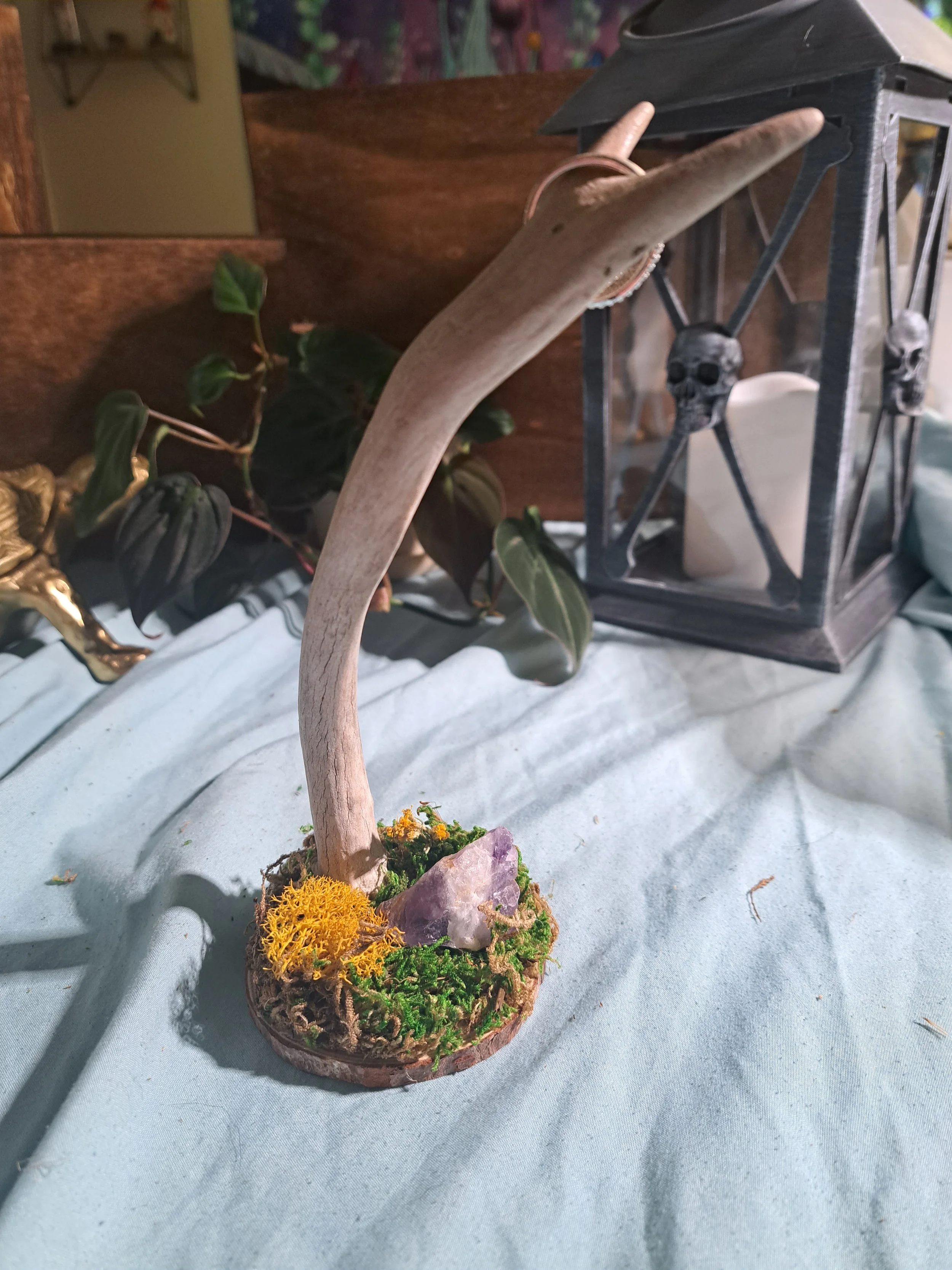 Antler Jewelry Stand