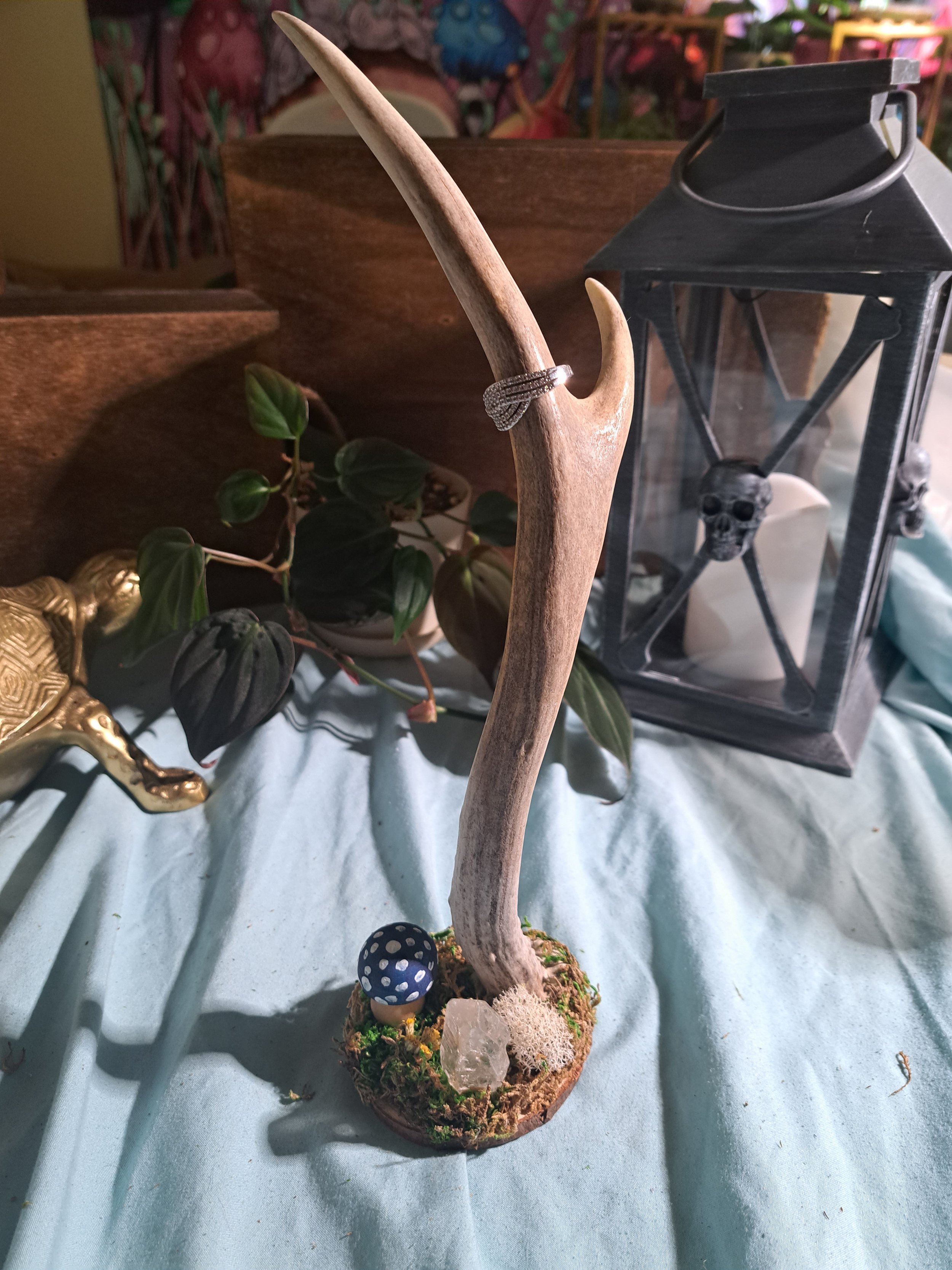Antler Jewelry Stand