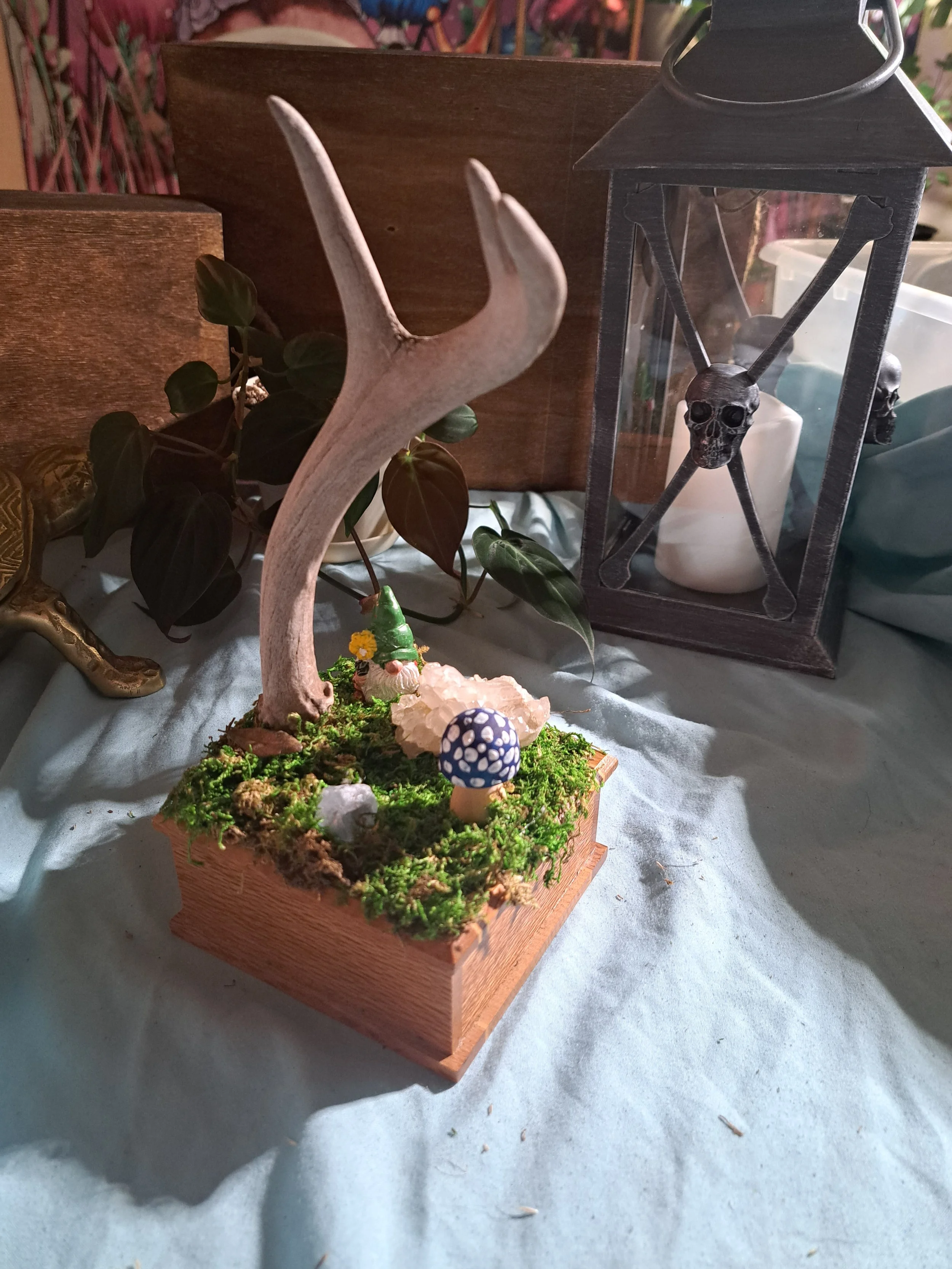 Antler Jewelry Box