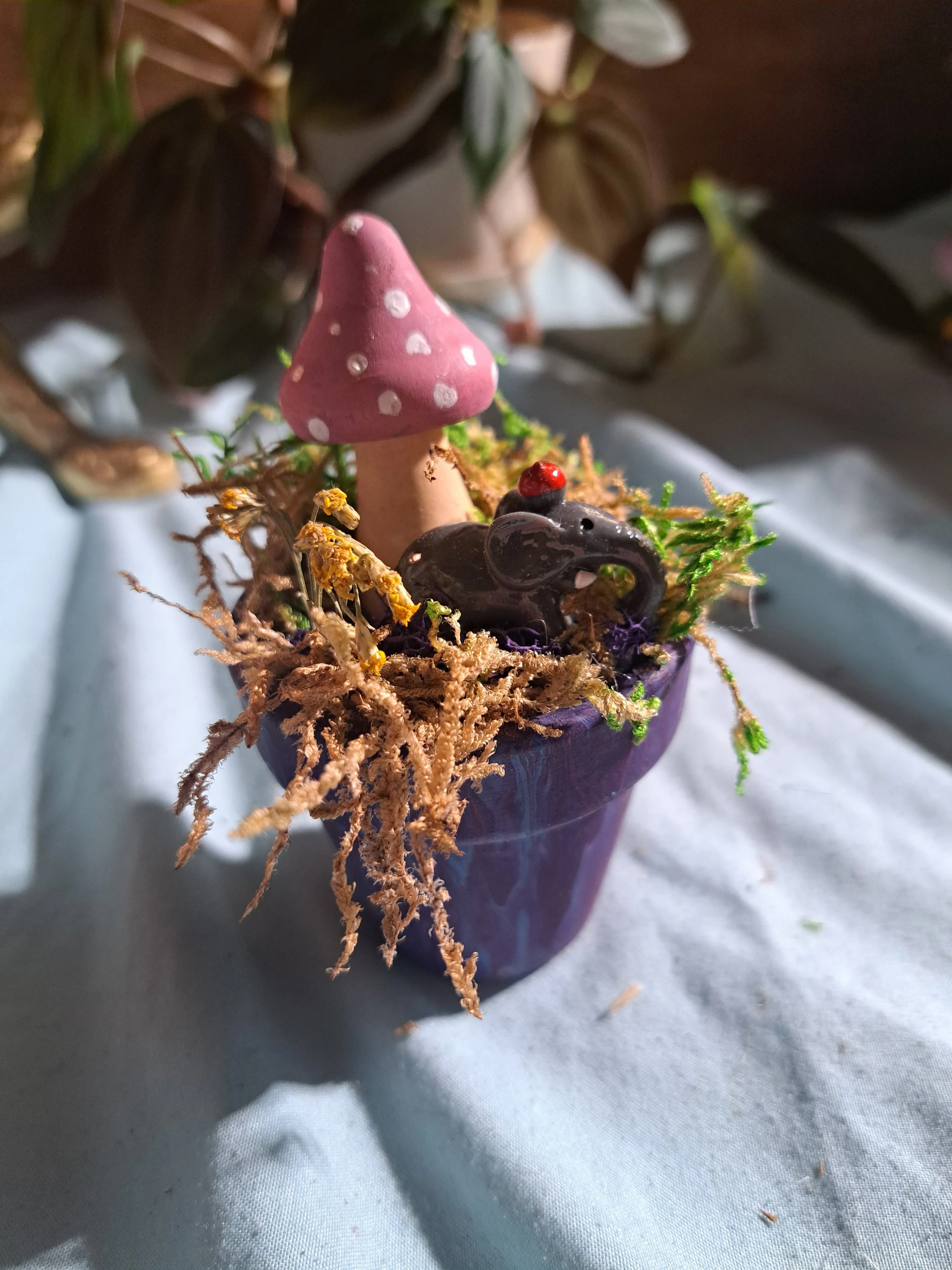 Terra Cotta Fairy Garden