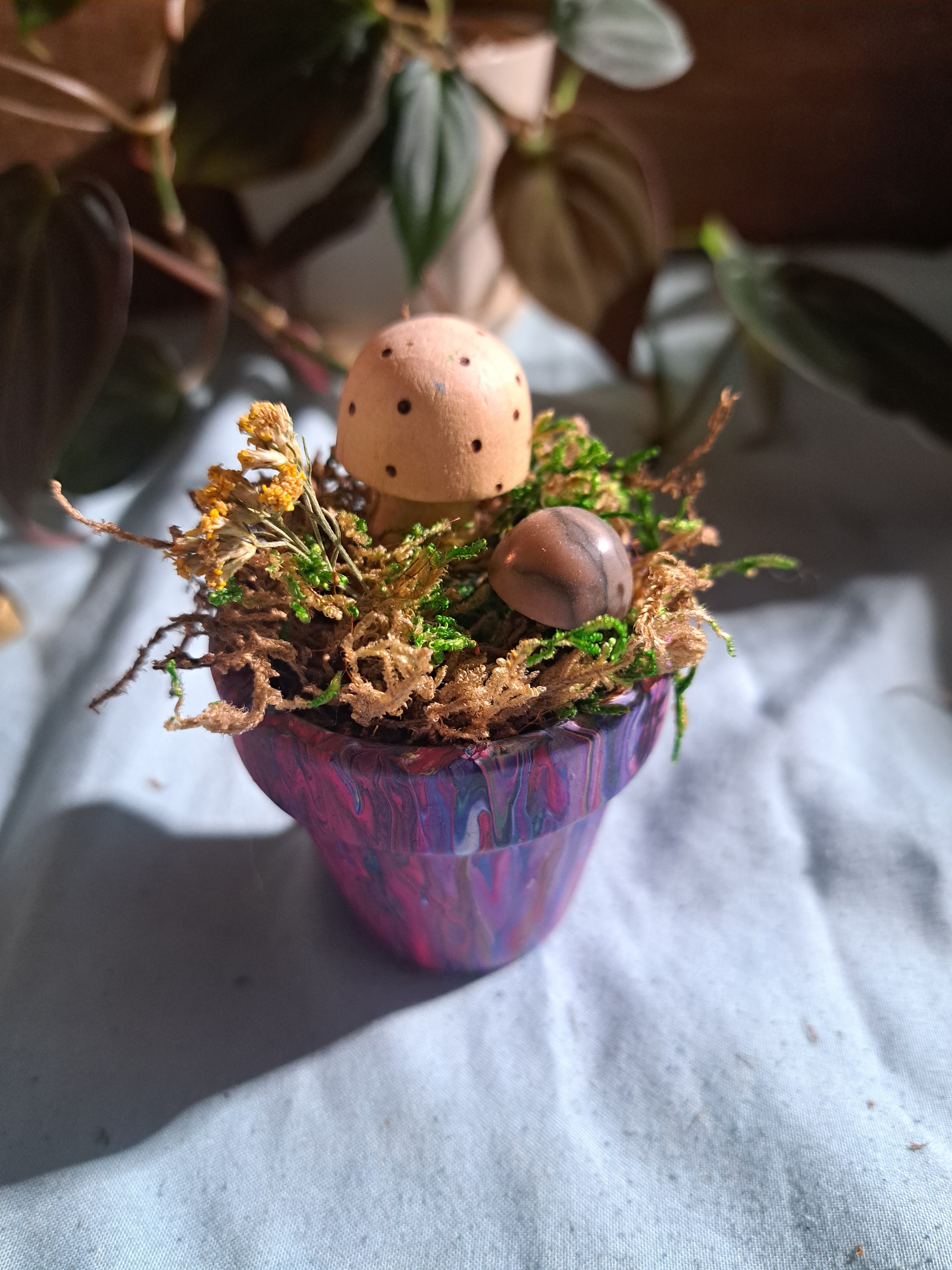 Terra Cotta Fairy Garden