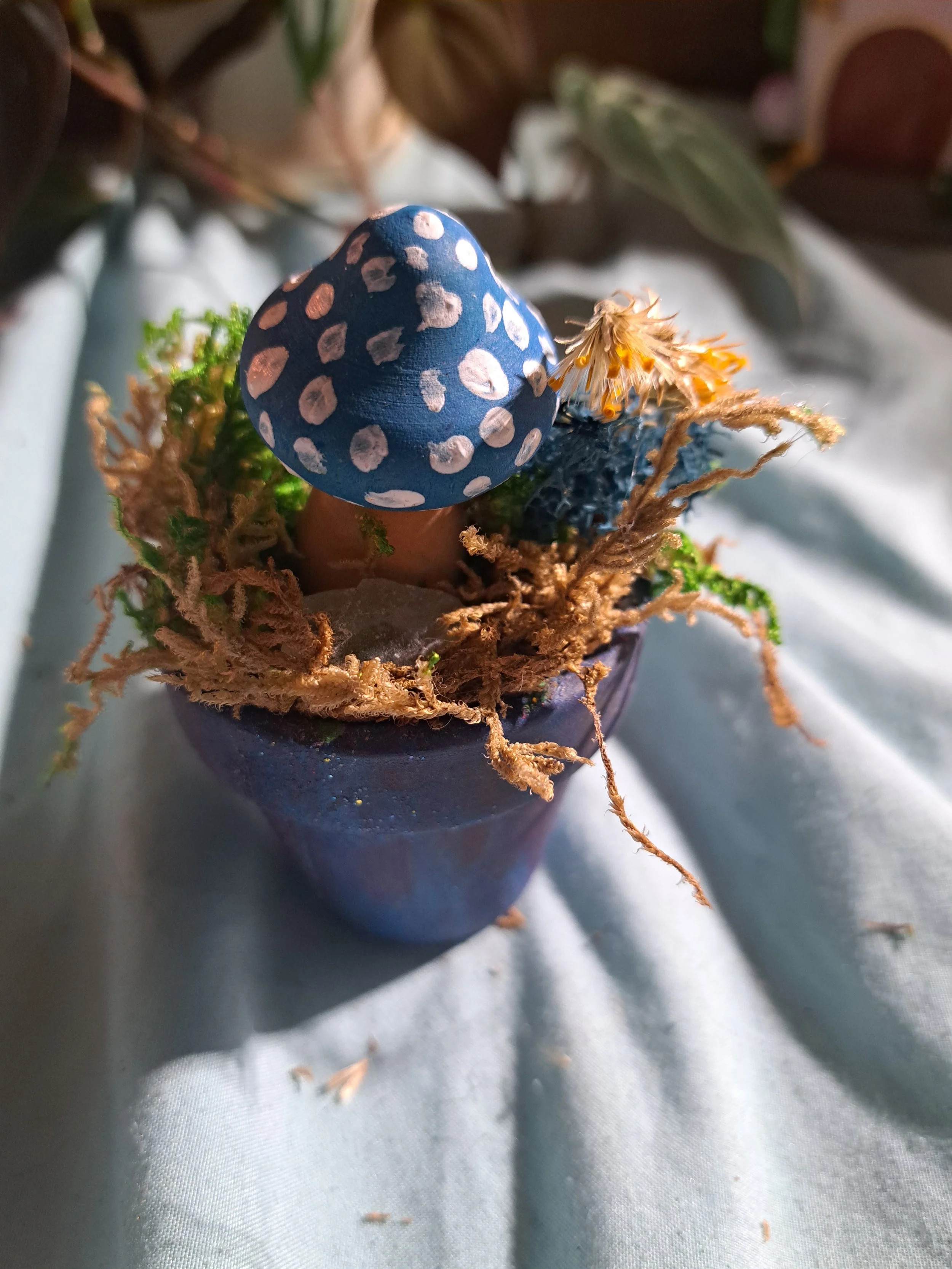 Terra Cotta Fairy Garden