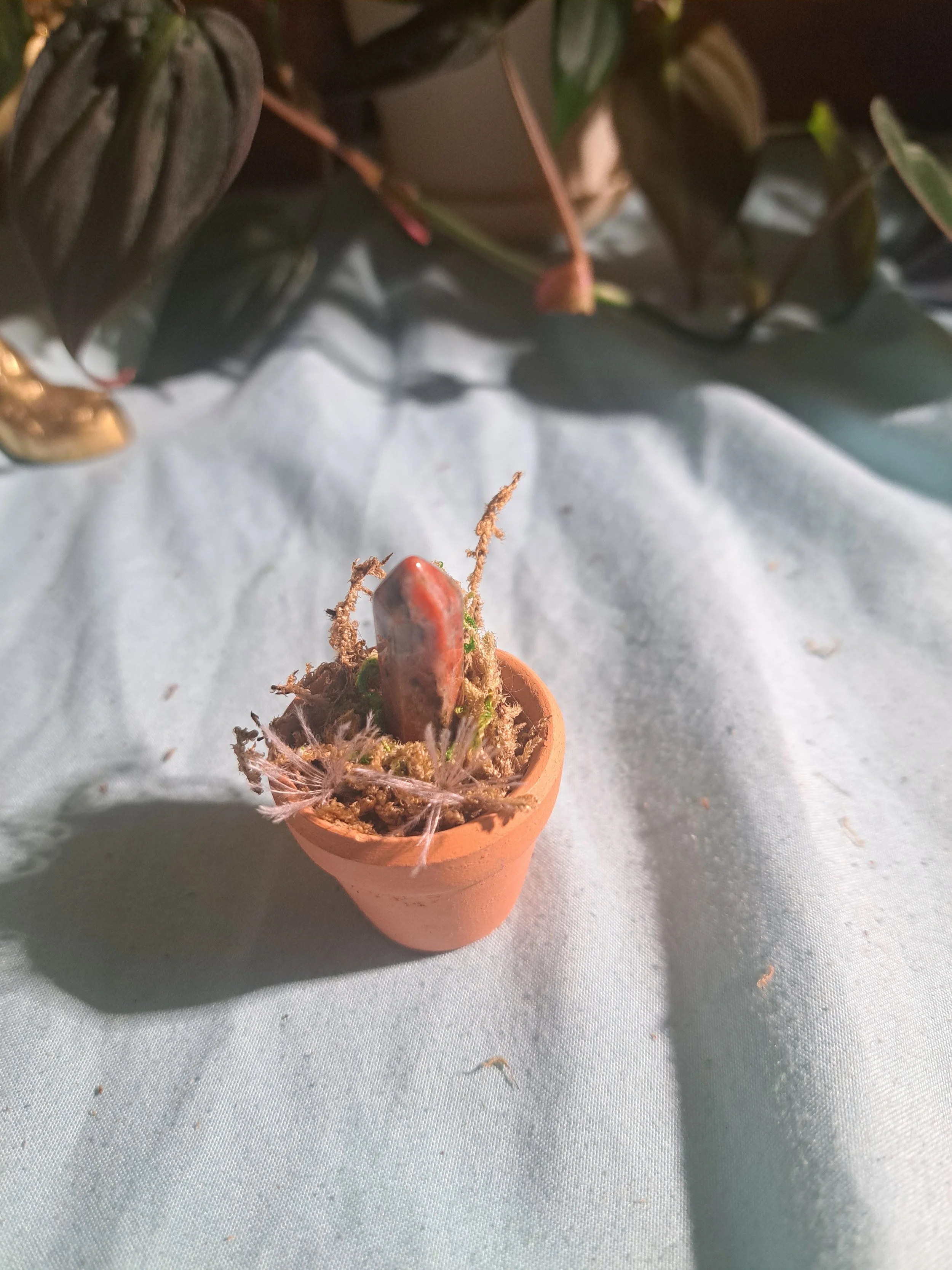 Miniature Terra Cotta Fairy Garden