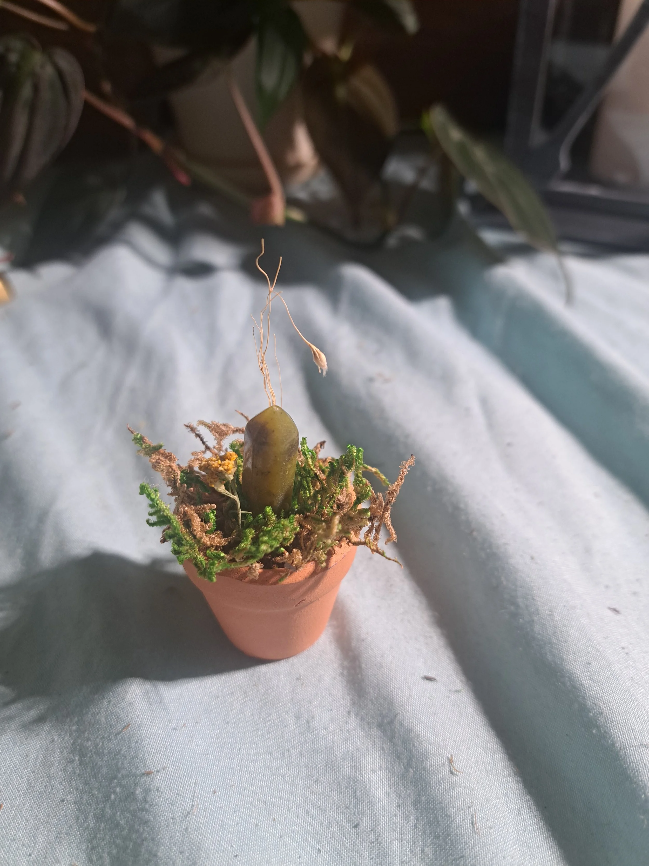 Miniature Terra Cotta Fairy Garden