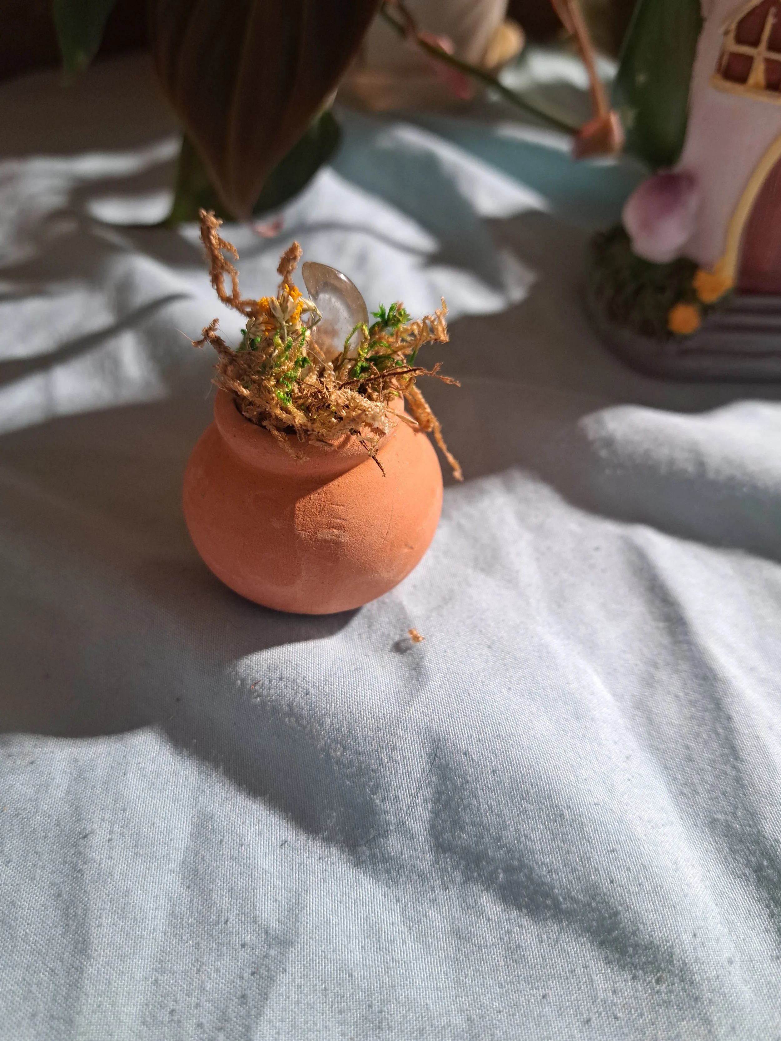 Miniature Terra Cotta Fairy Garden