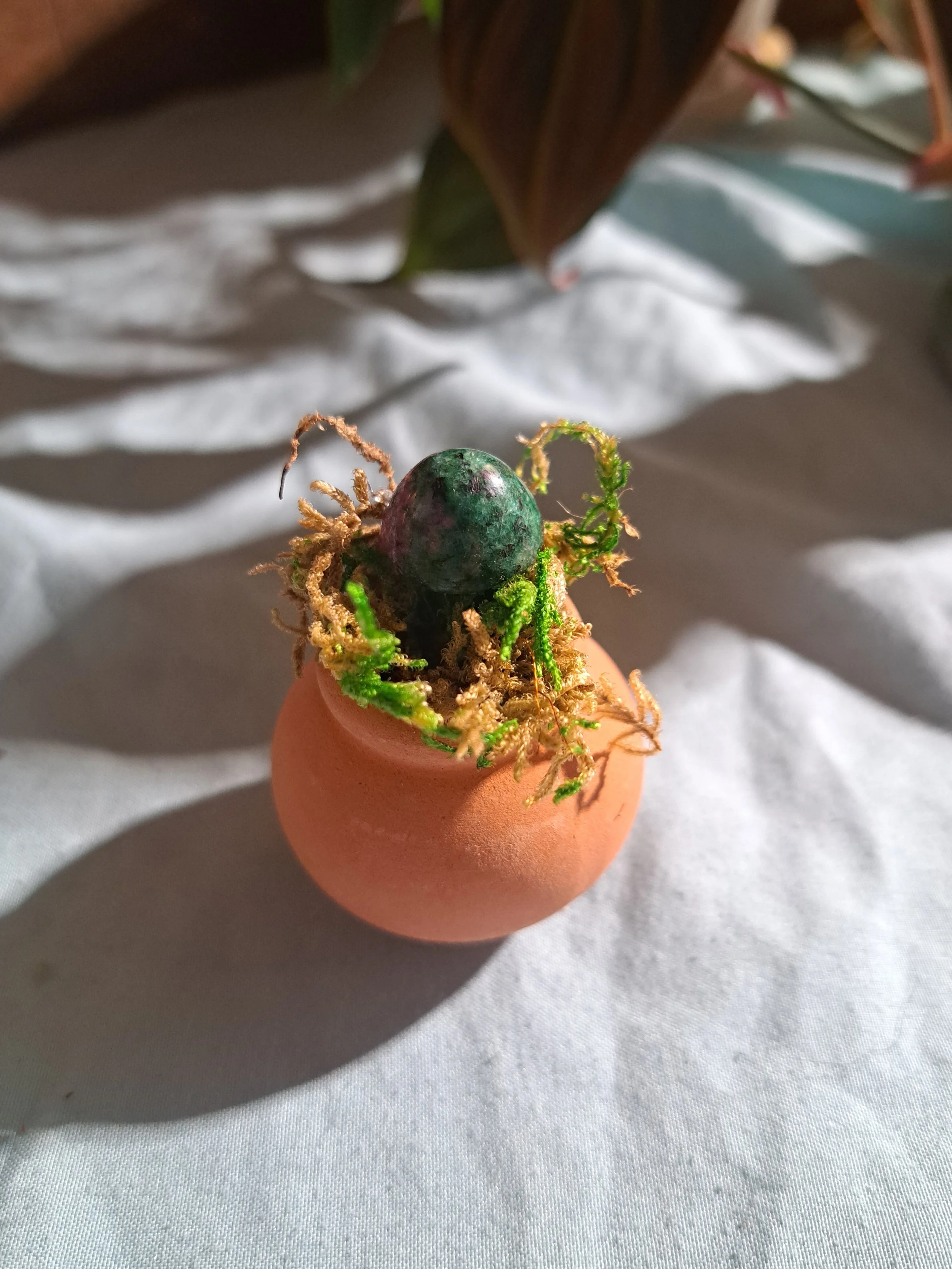 Miniature Terra Cotta Fairy Garden